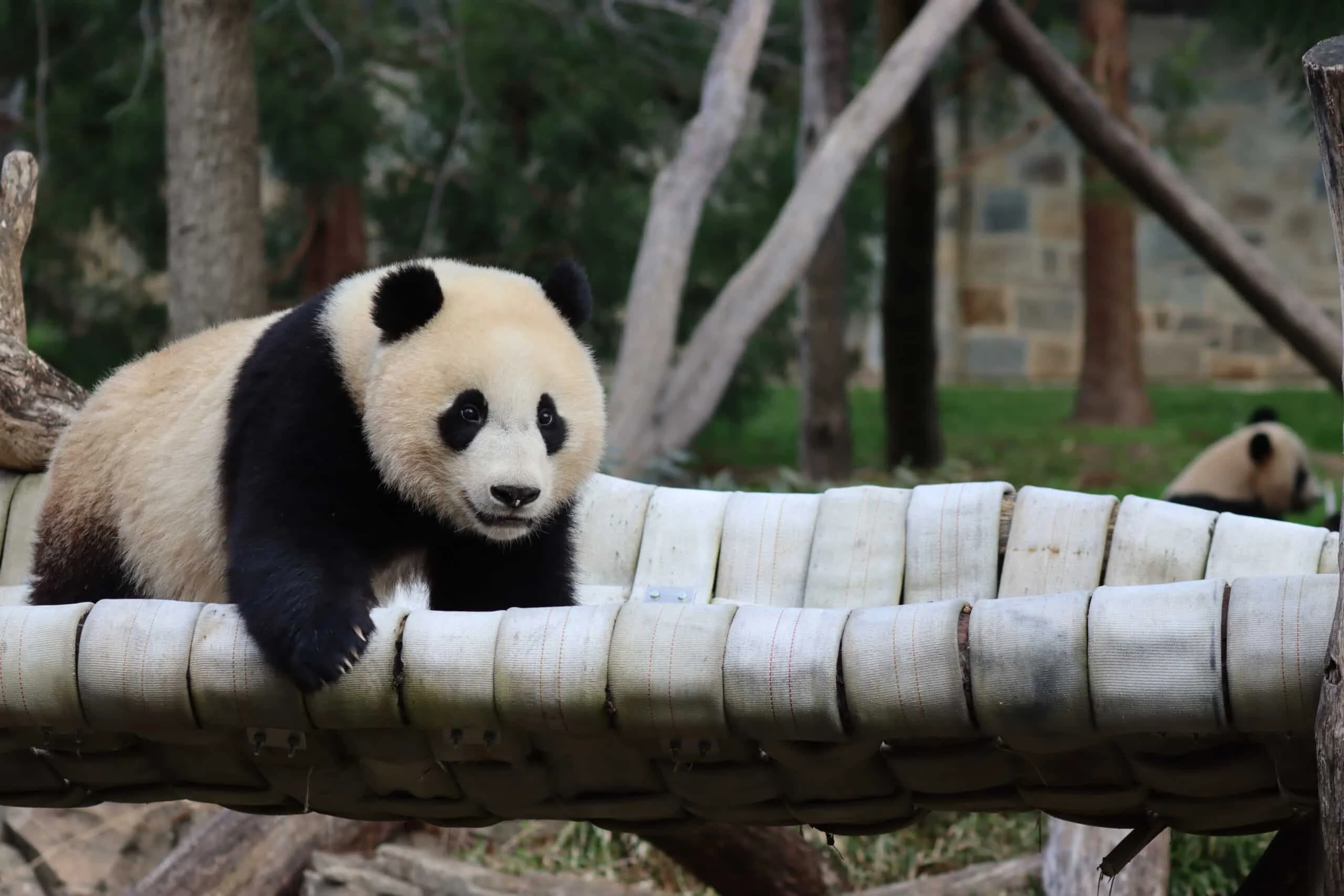 Smithsonian's National Zoo