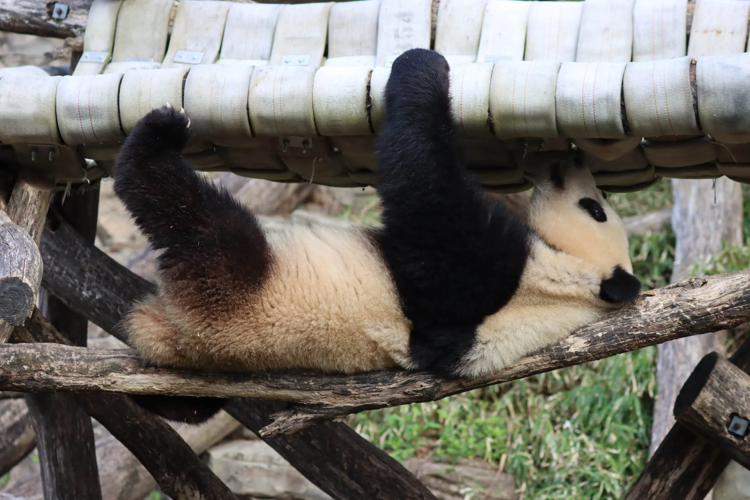Smithsonian's National Zoo