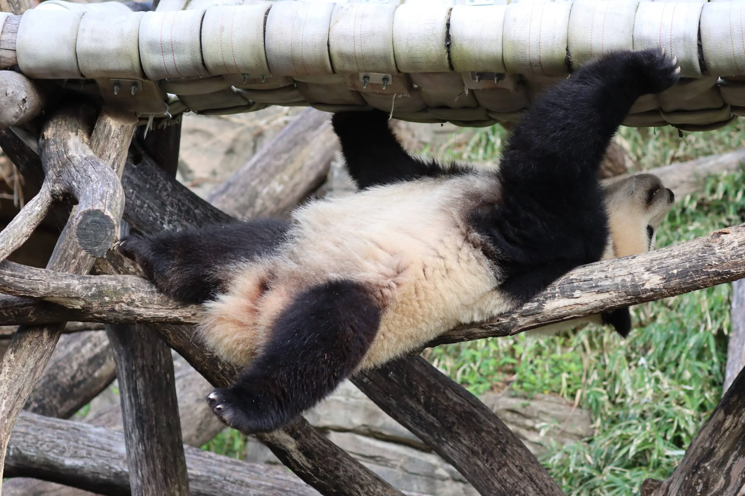 Smithsonian's National Zoo