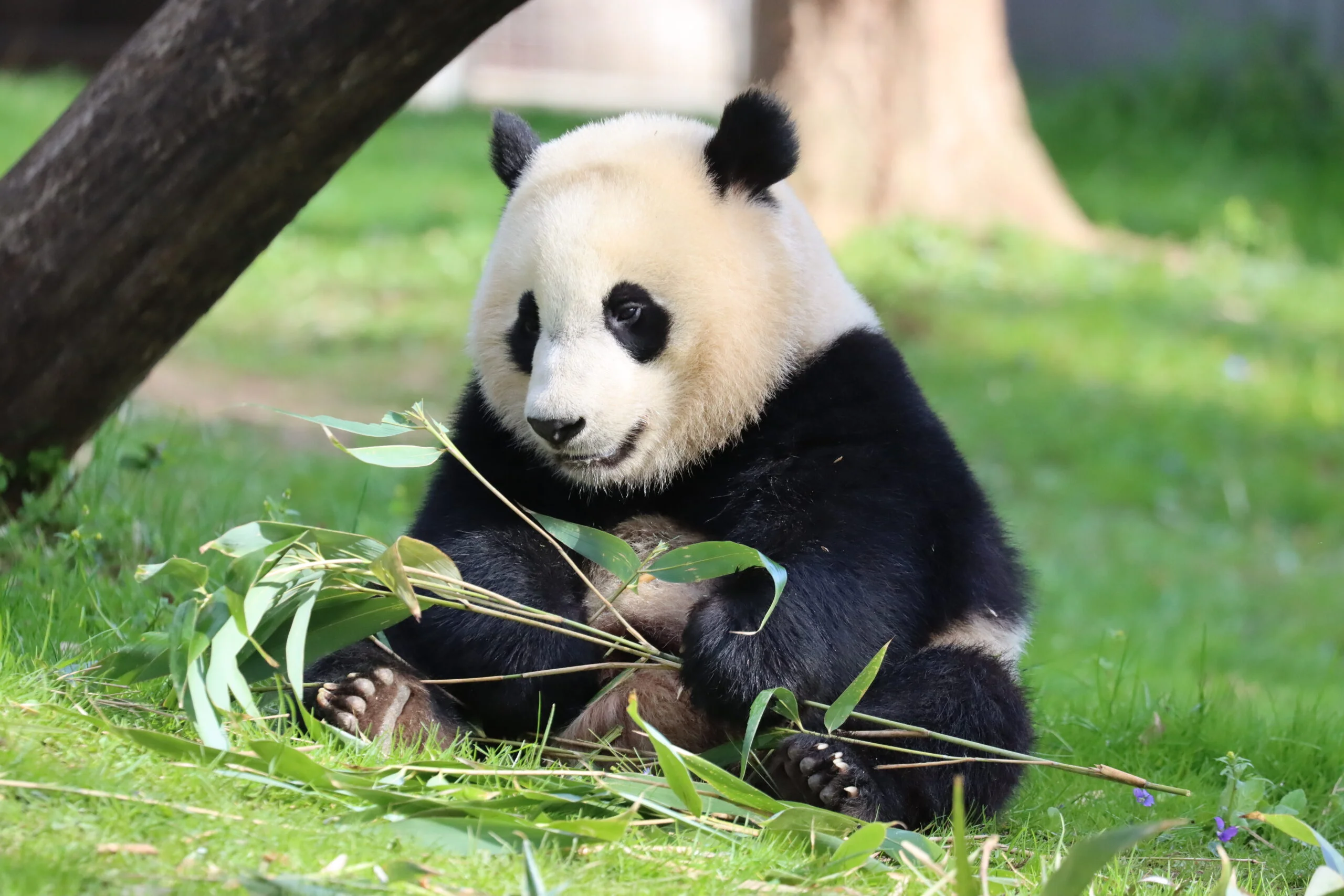 Smithsonian's National Zoo