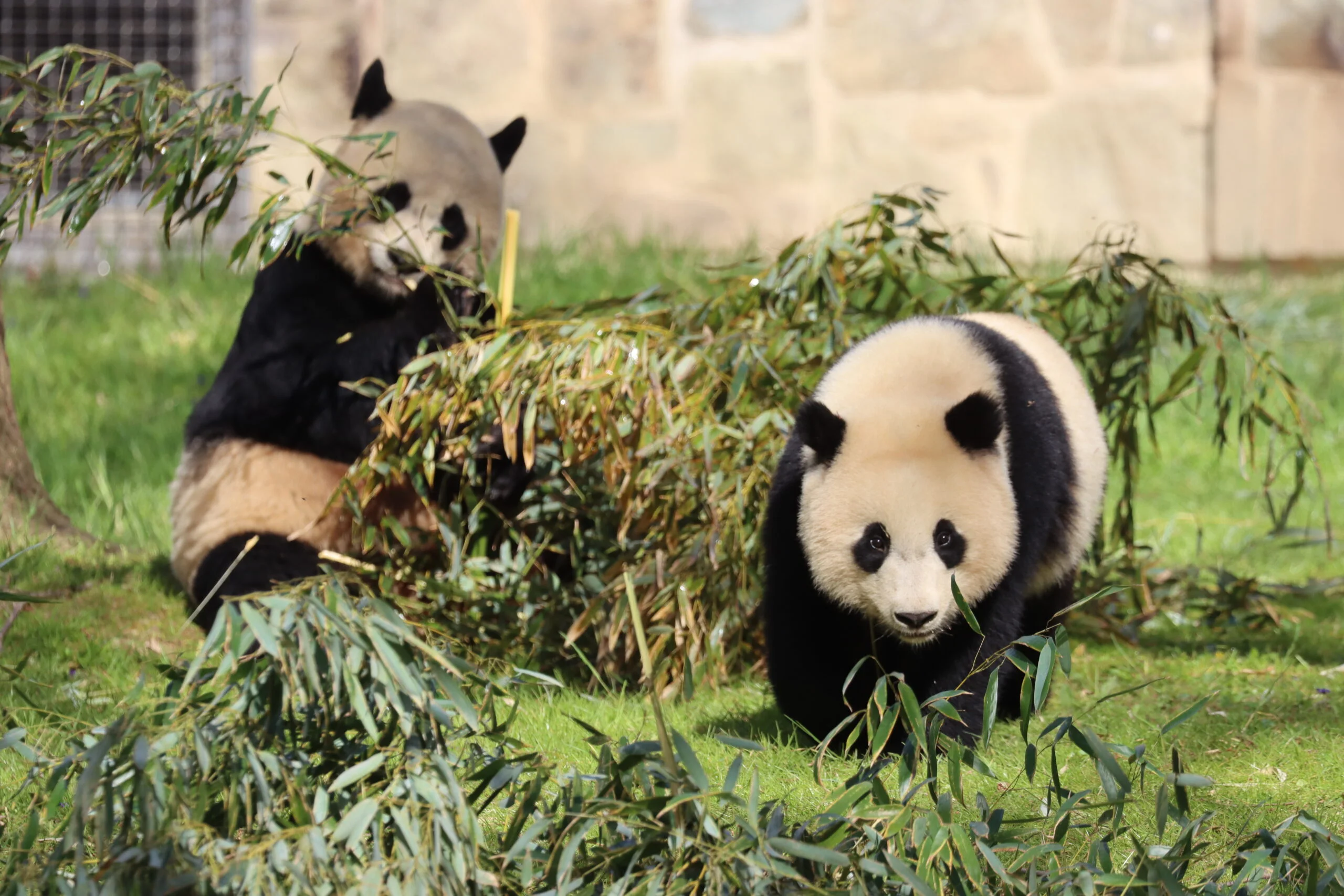 Smithsonian's National Zoo