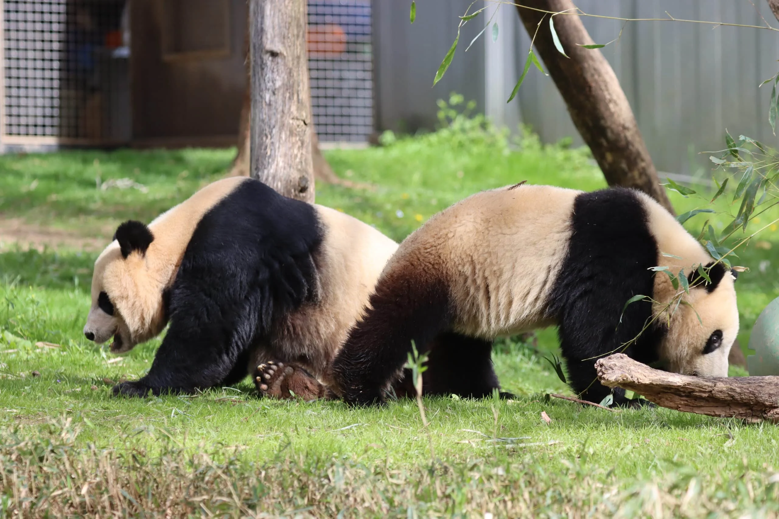 Smithsonian's National Zoo