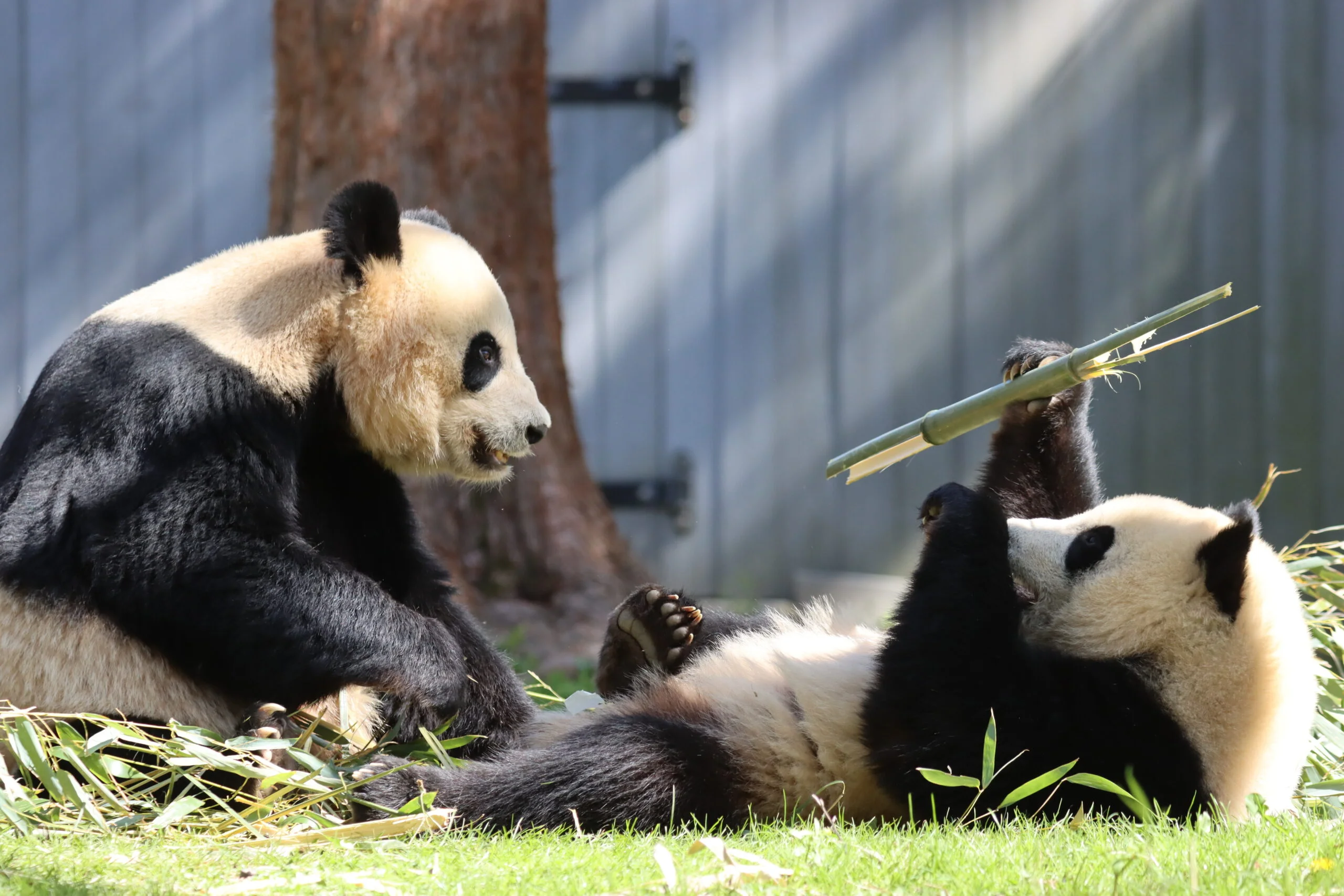 Smithsonian's National Zoo