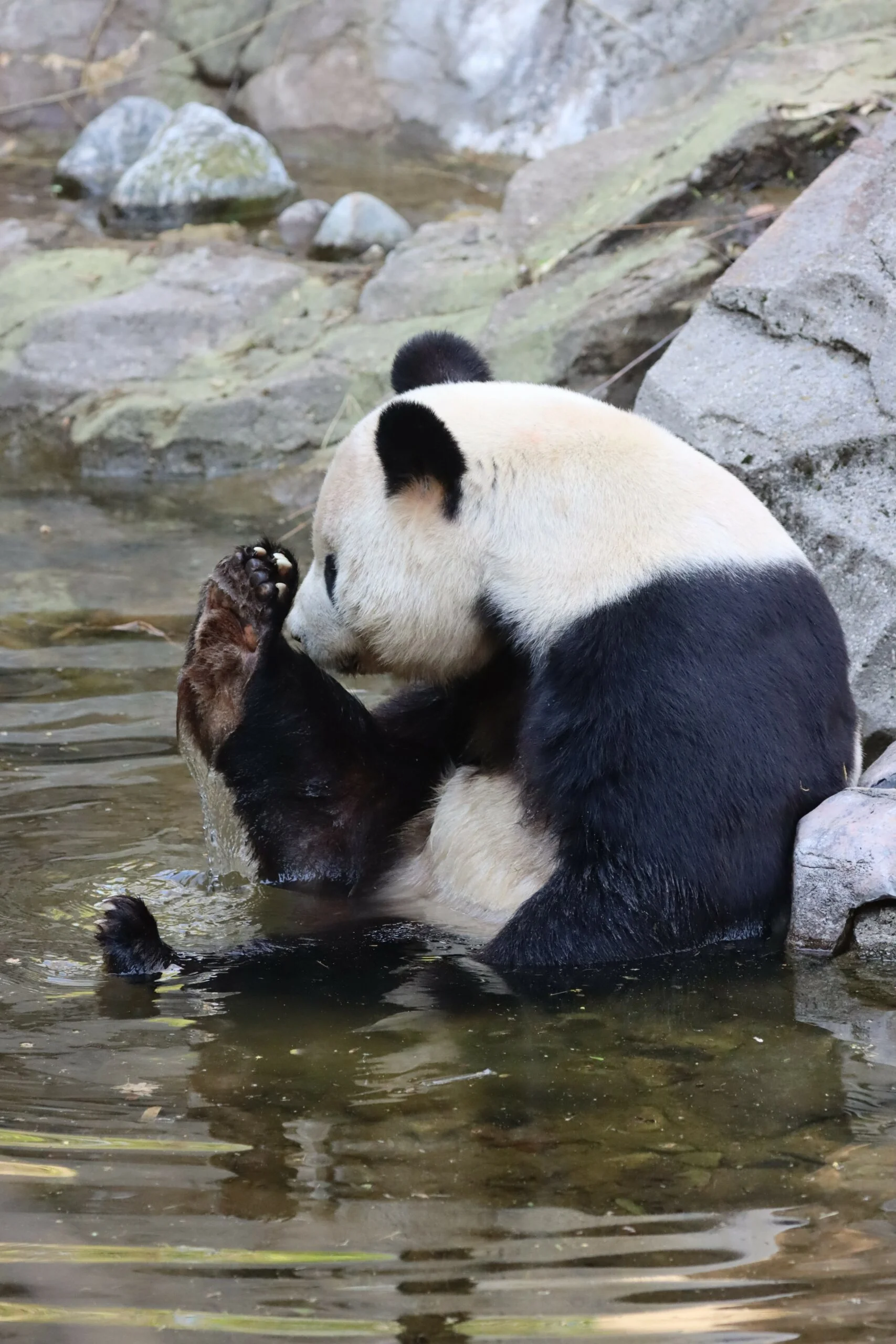 Smithsonian's National Zoo