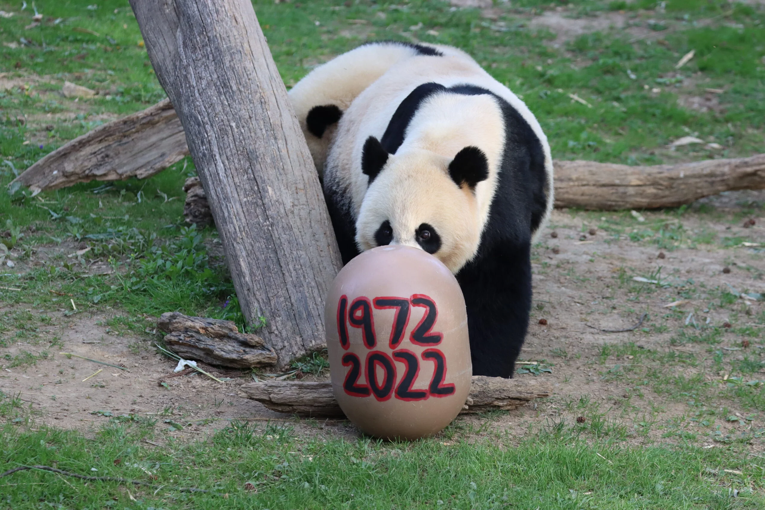 Smithsonian's National Zoo