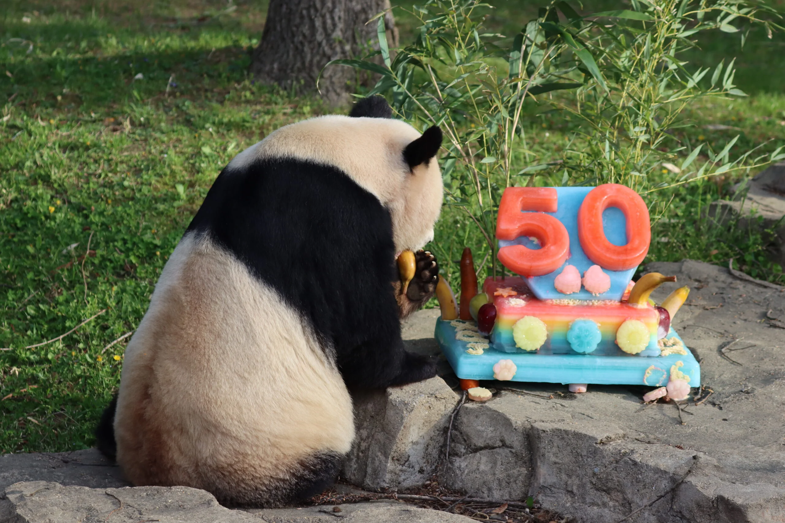 Smithsonian's National Zoo