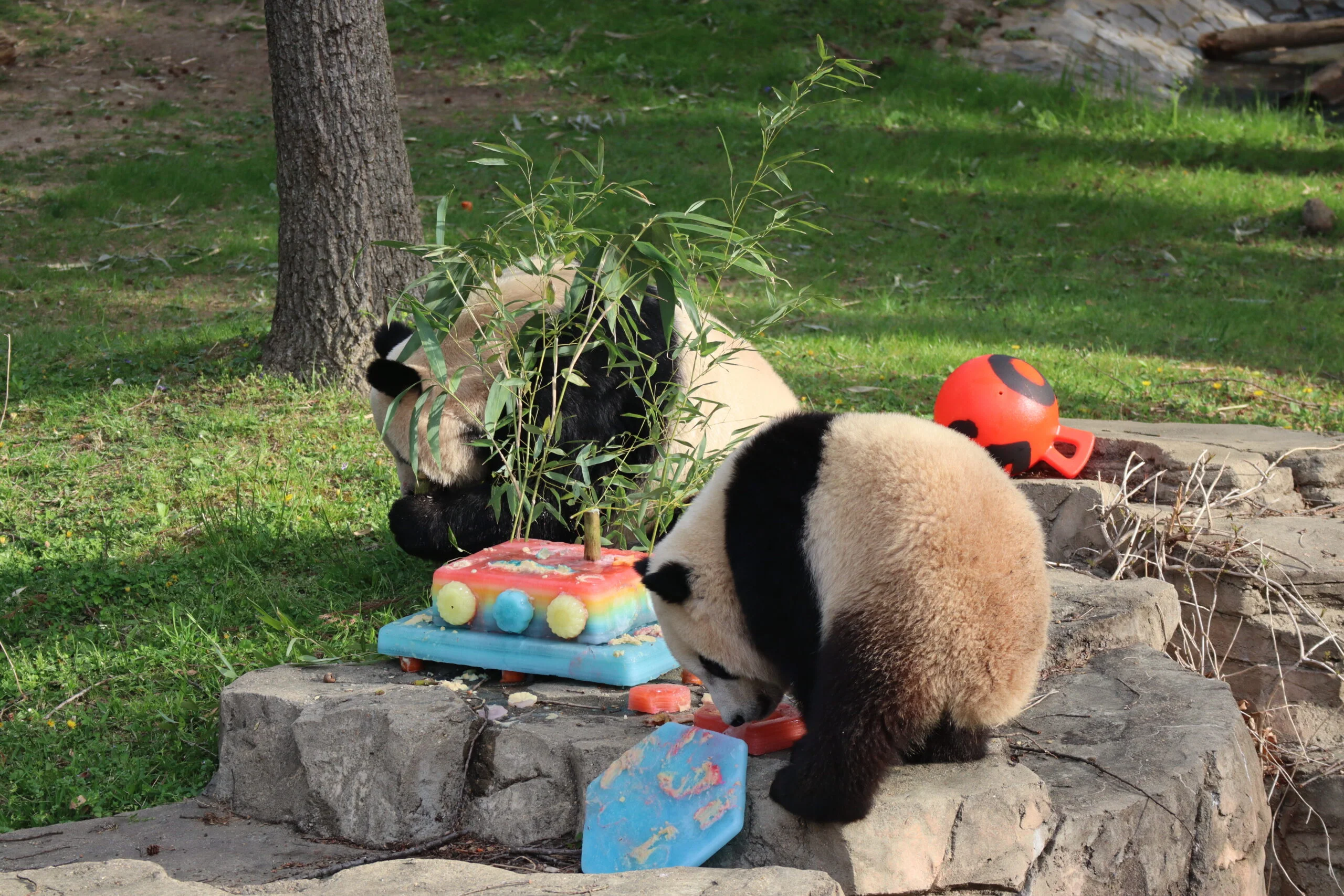 Smithsonian's National Zoo