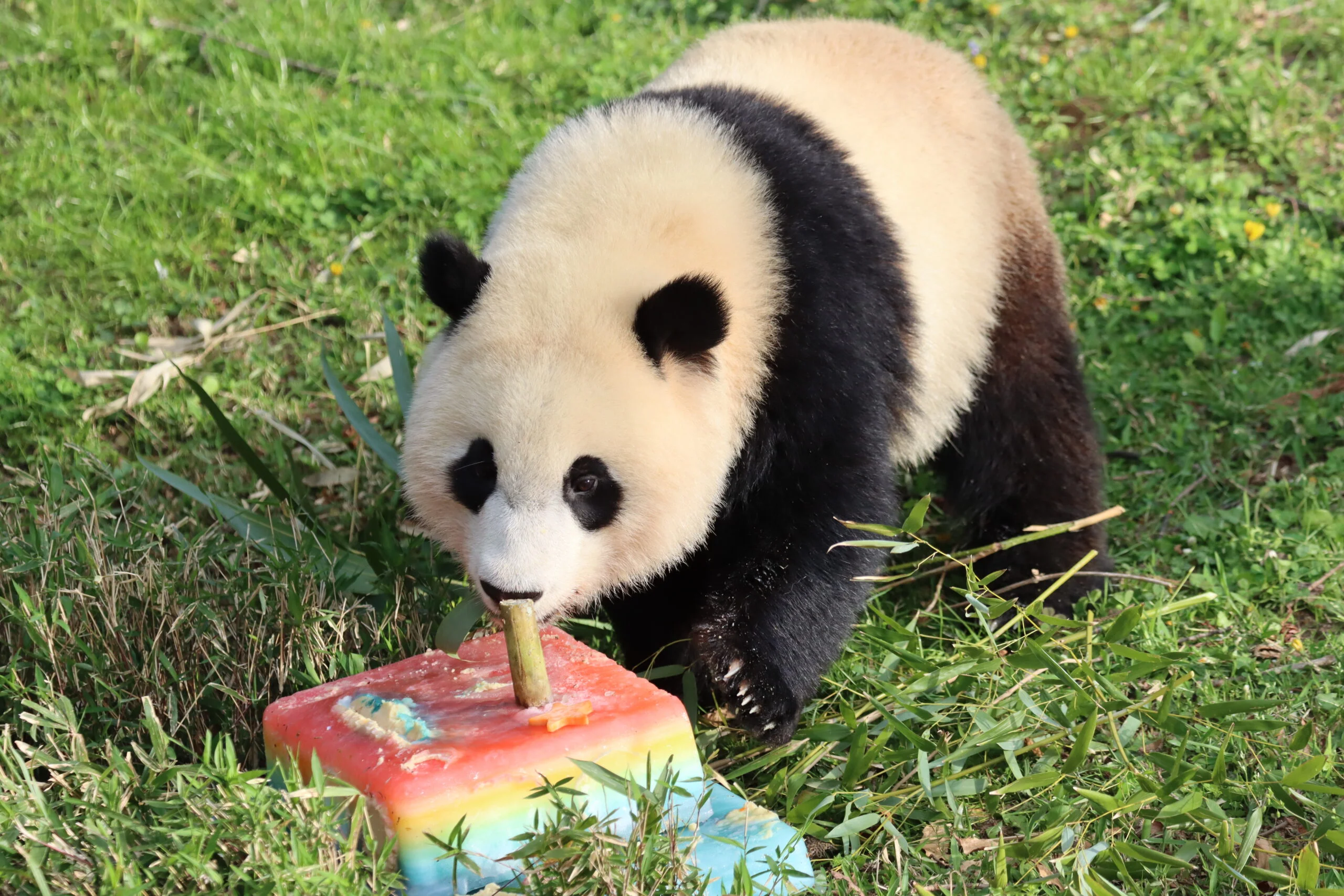 Smithsonian's National Zoo