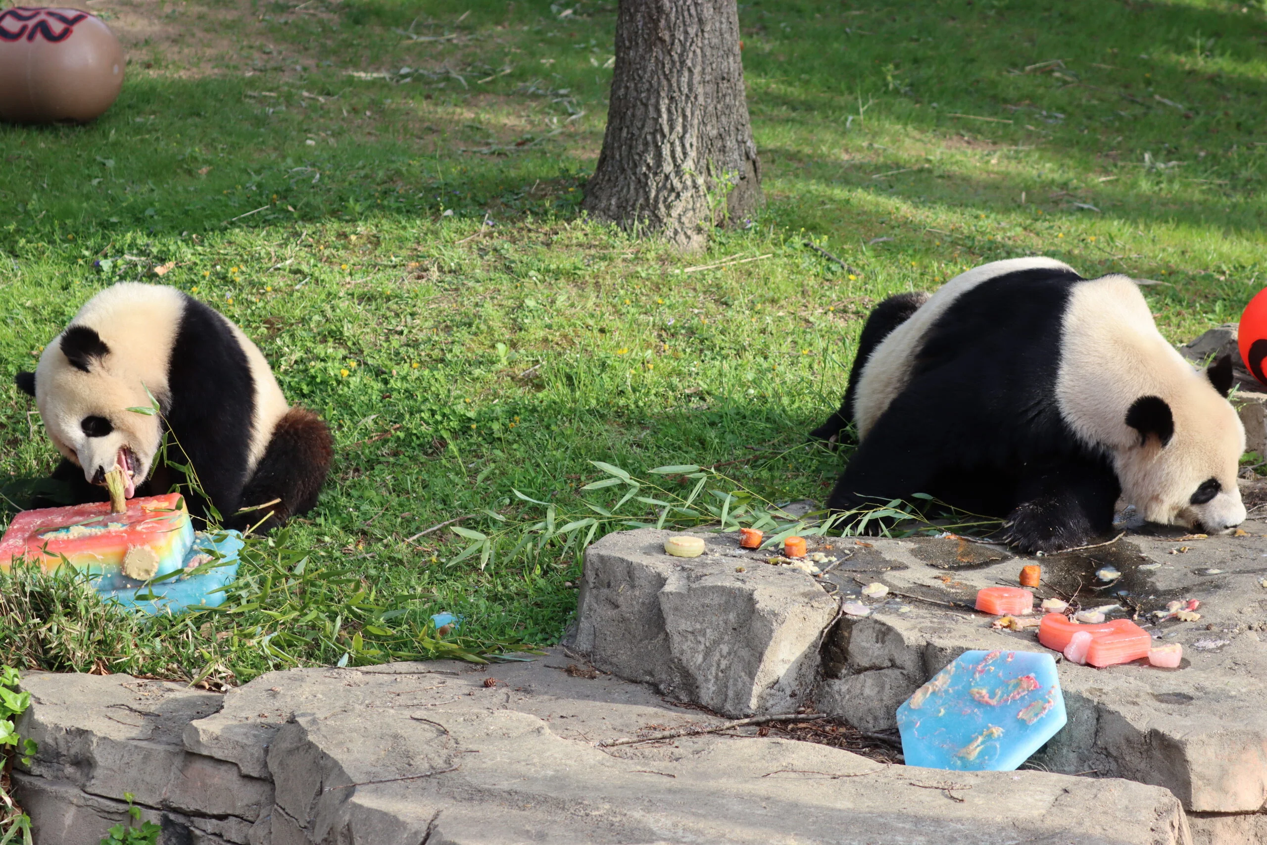 Smithsonian's National Zoo