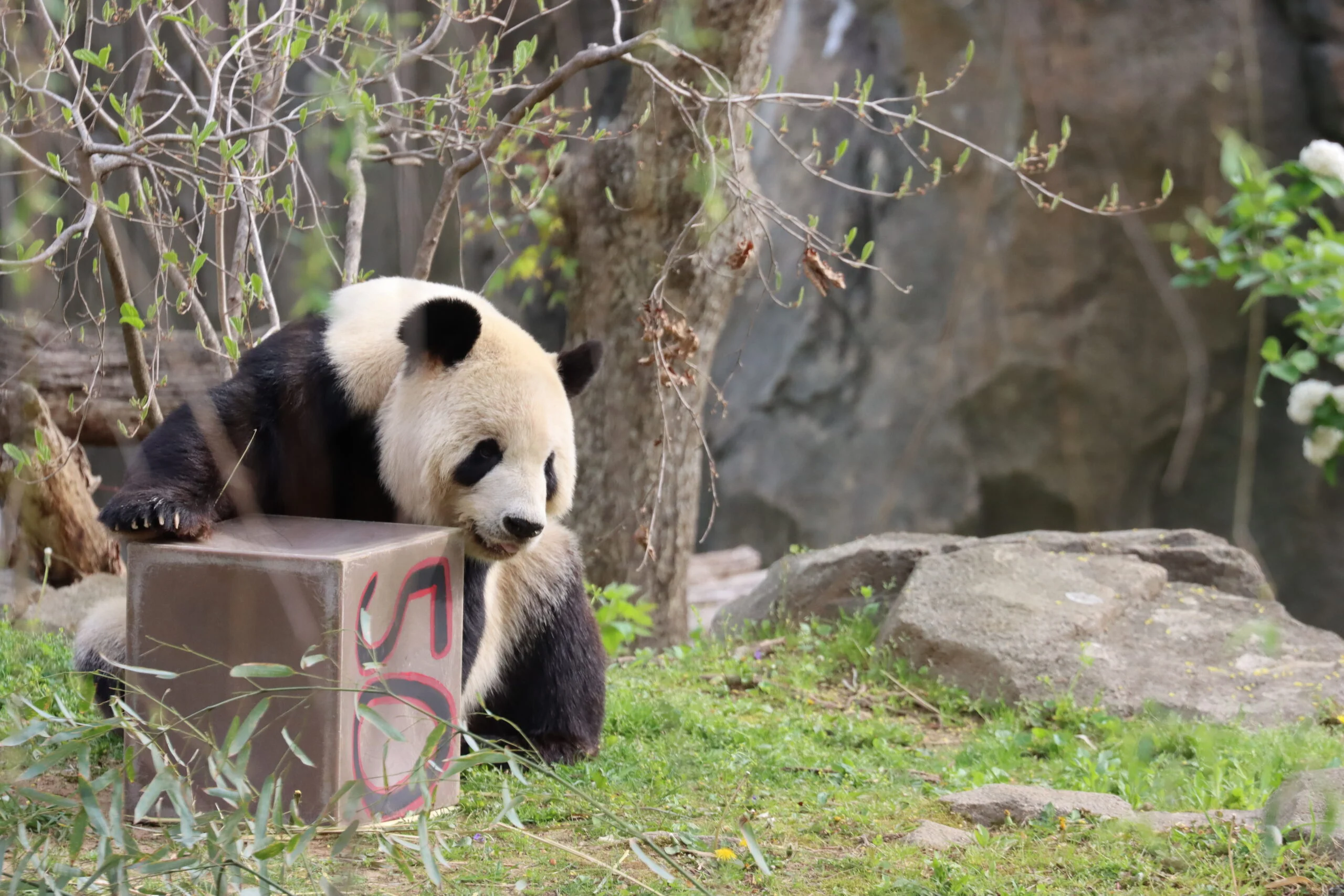 Smithsonian's National Zoo