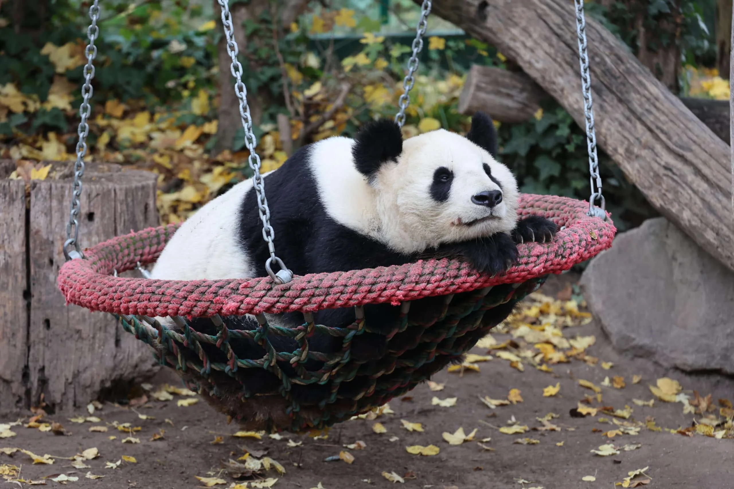Tiergarten Schönbrunn