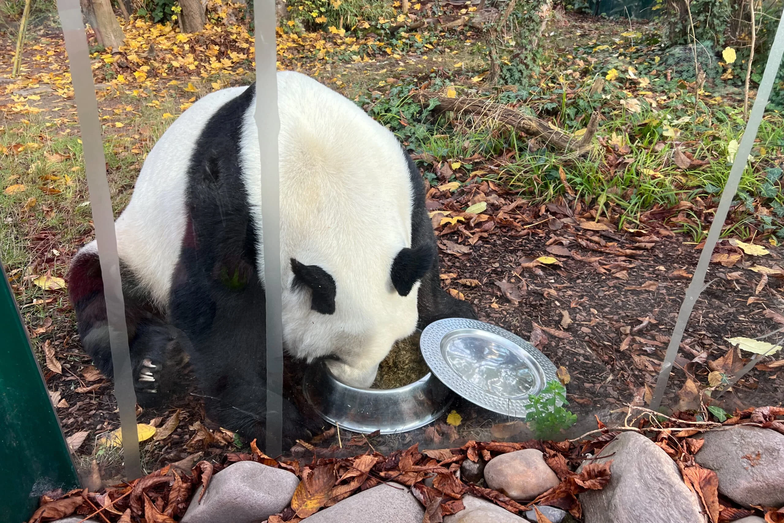 Tiergarten Schönbrunn