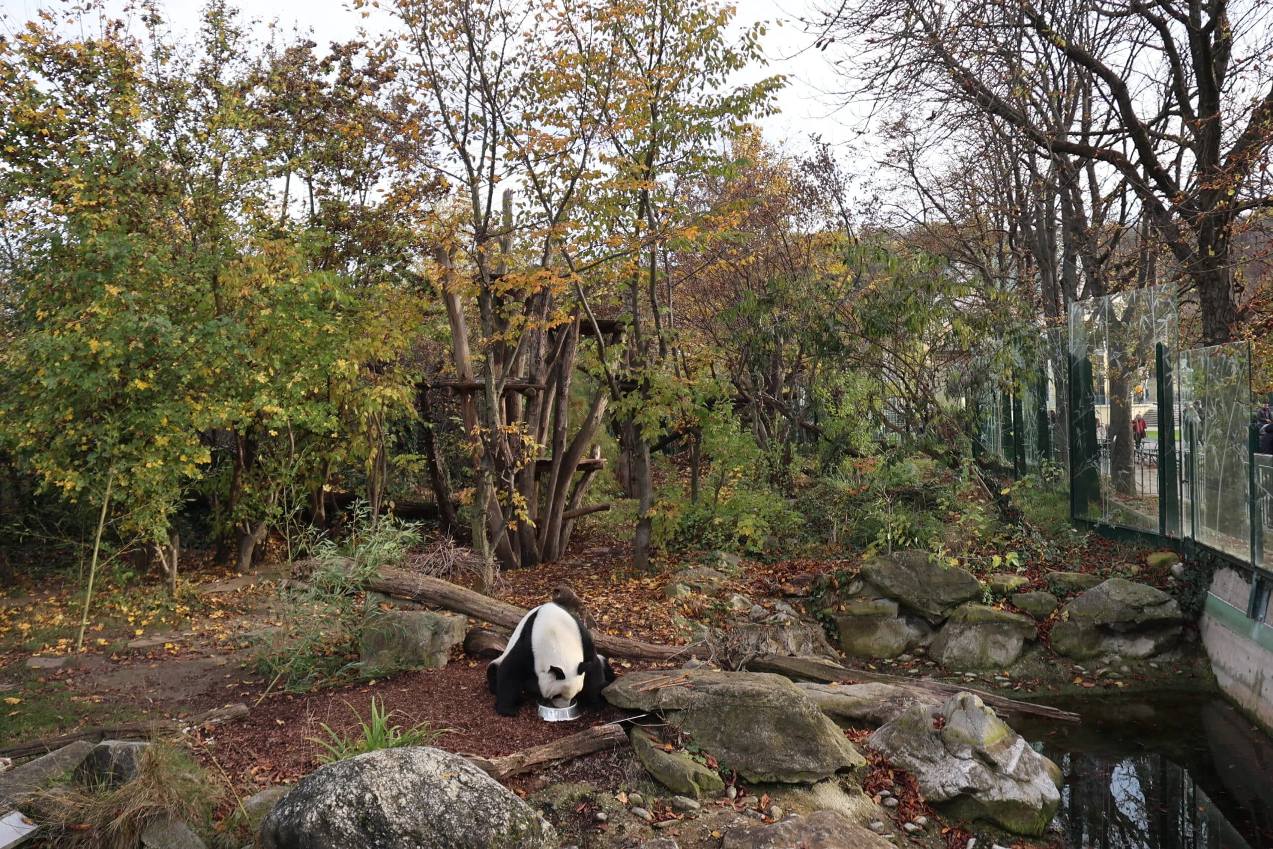 Tiergarten Schönbrunn