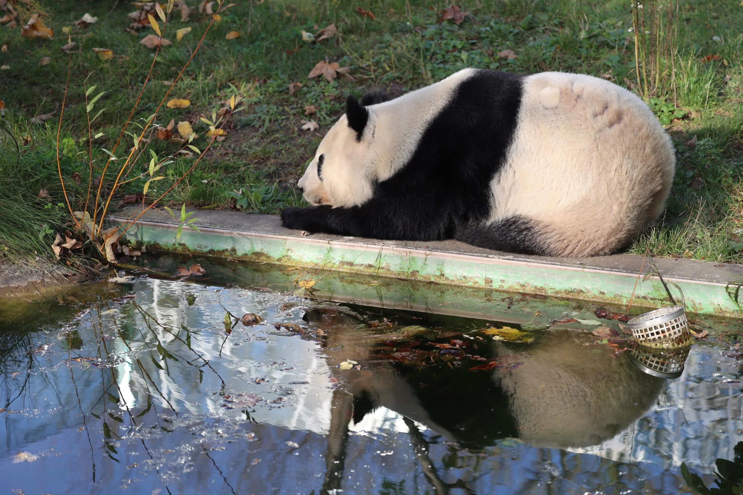 Tiergarten Schönbrunn