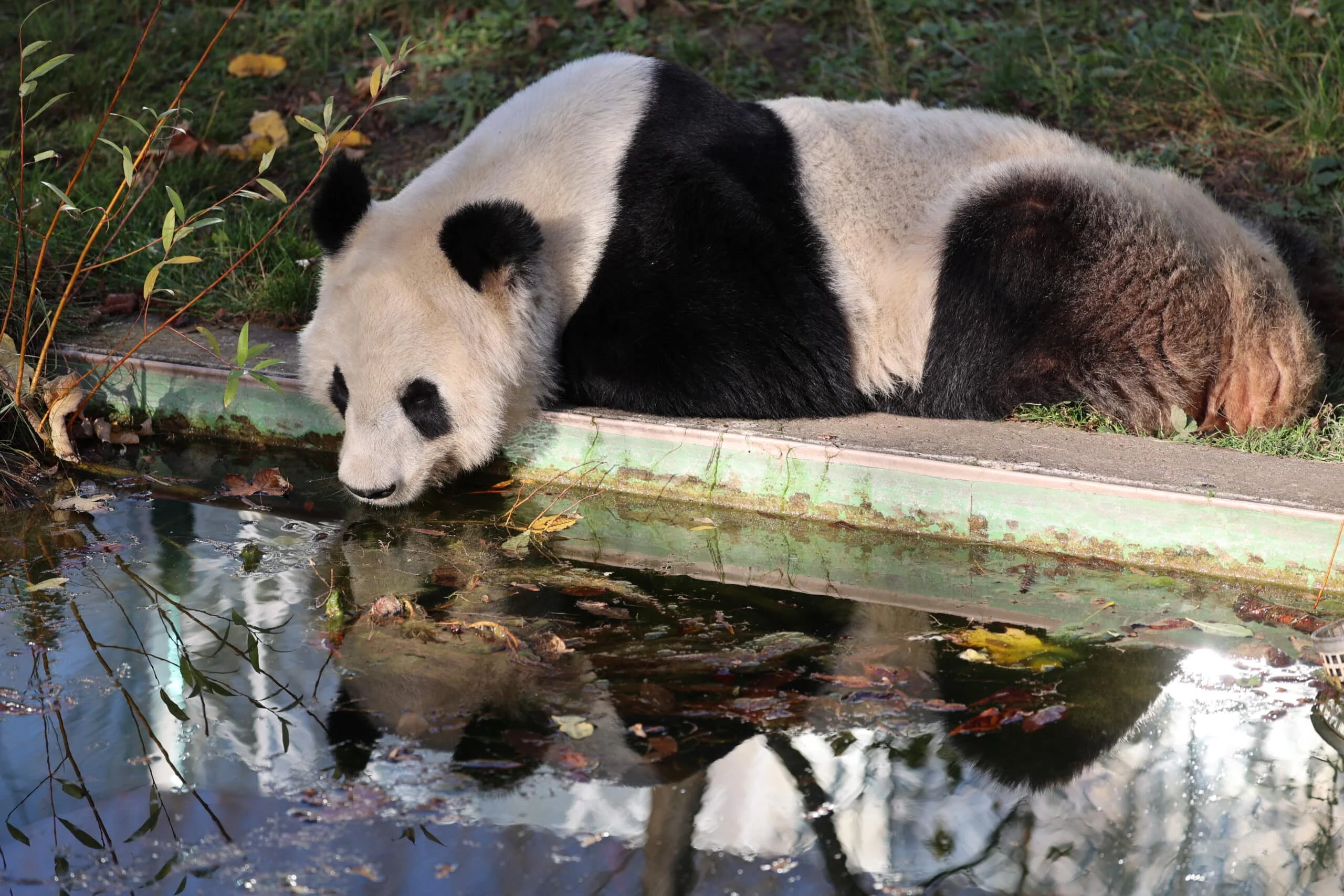 Tiergarten Schönbrunn