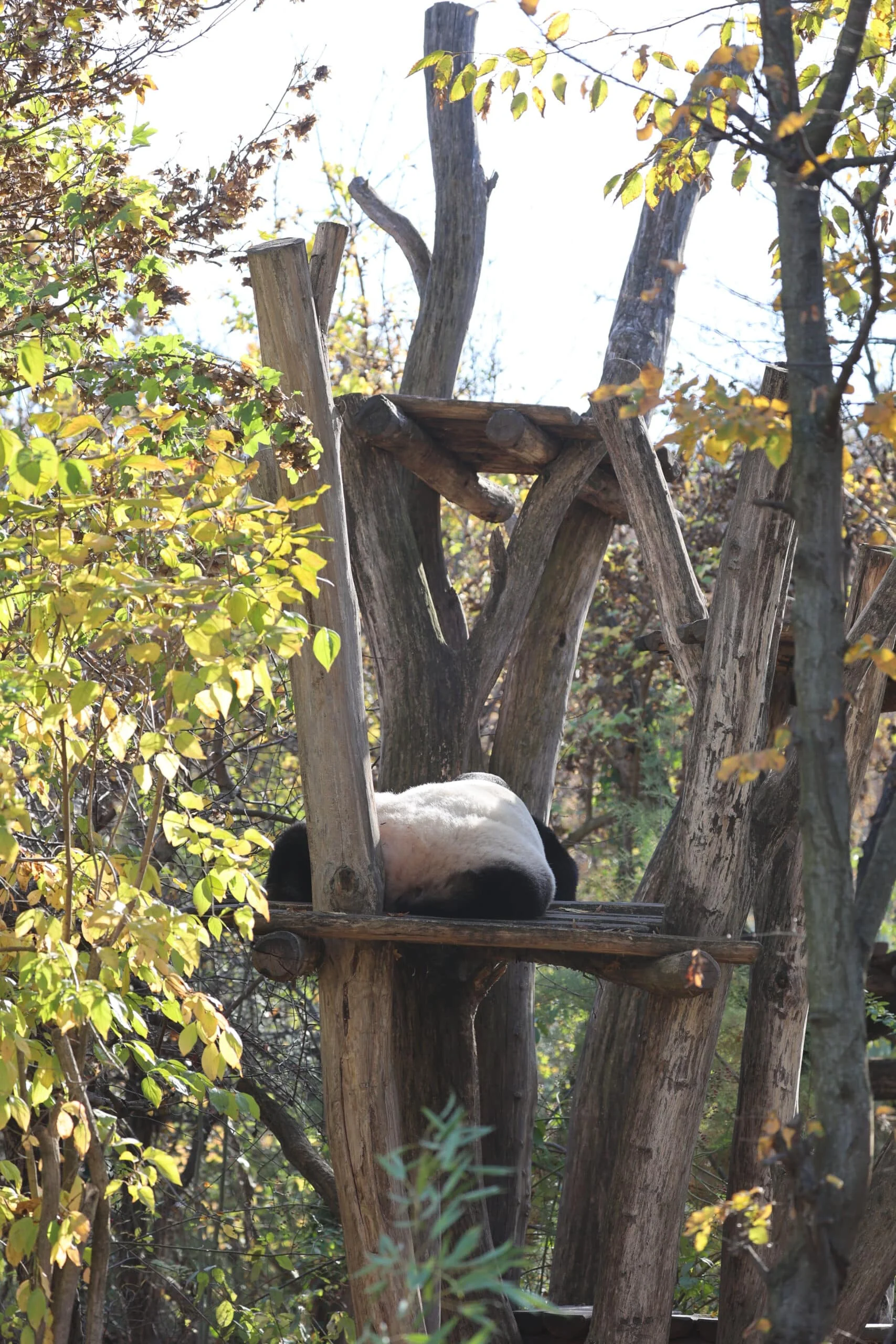 Tiergarten Schönbrunn