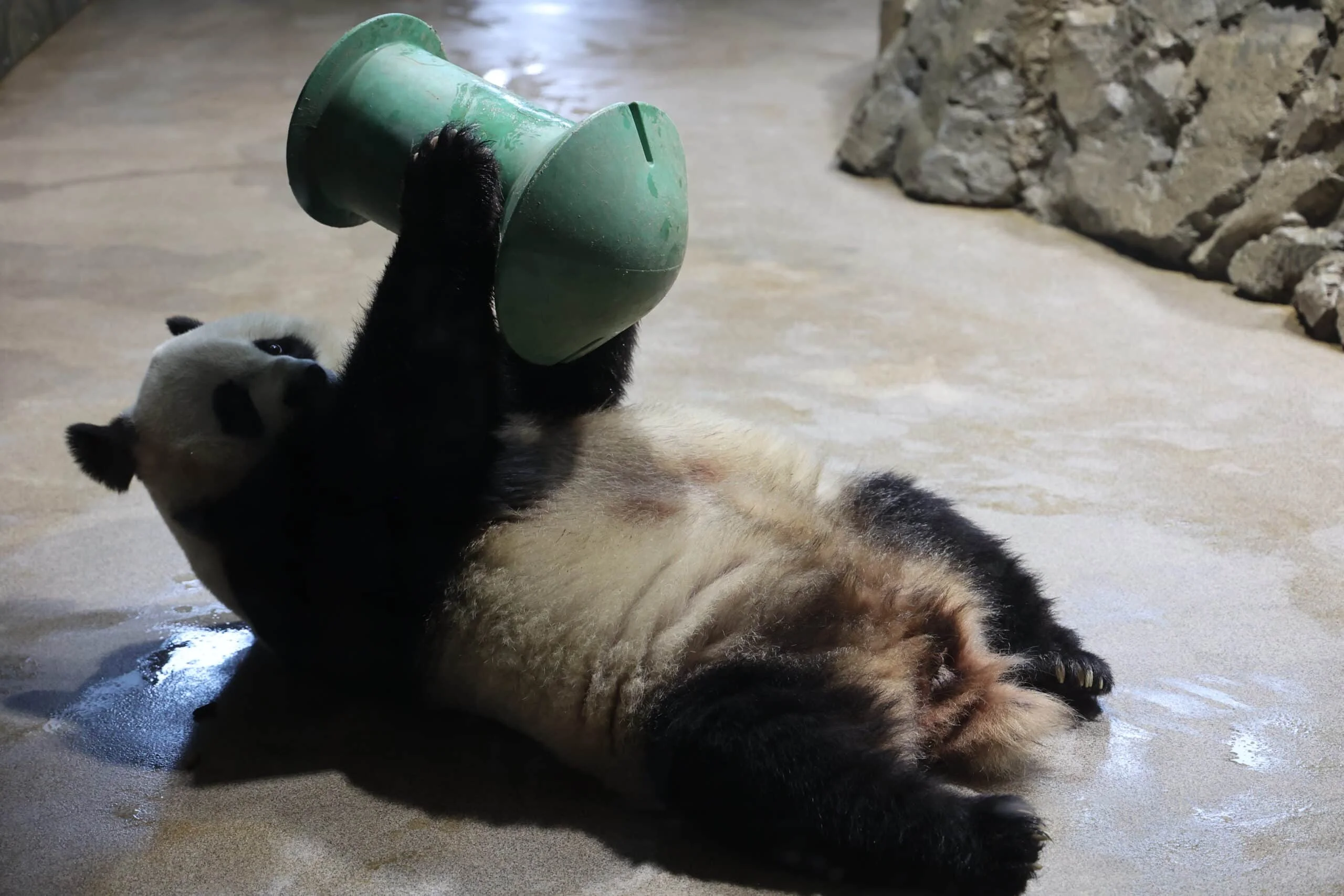 Smithsonian's National Zoo