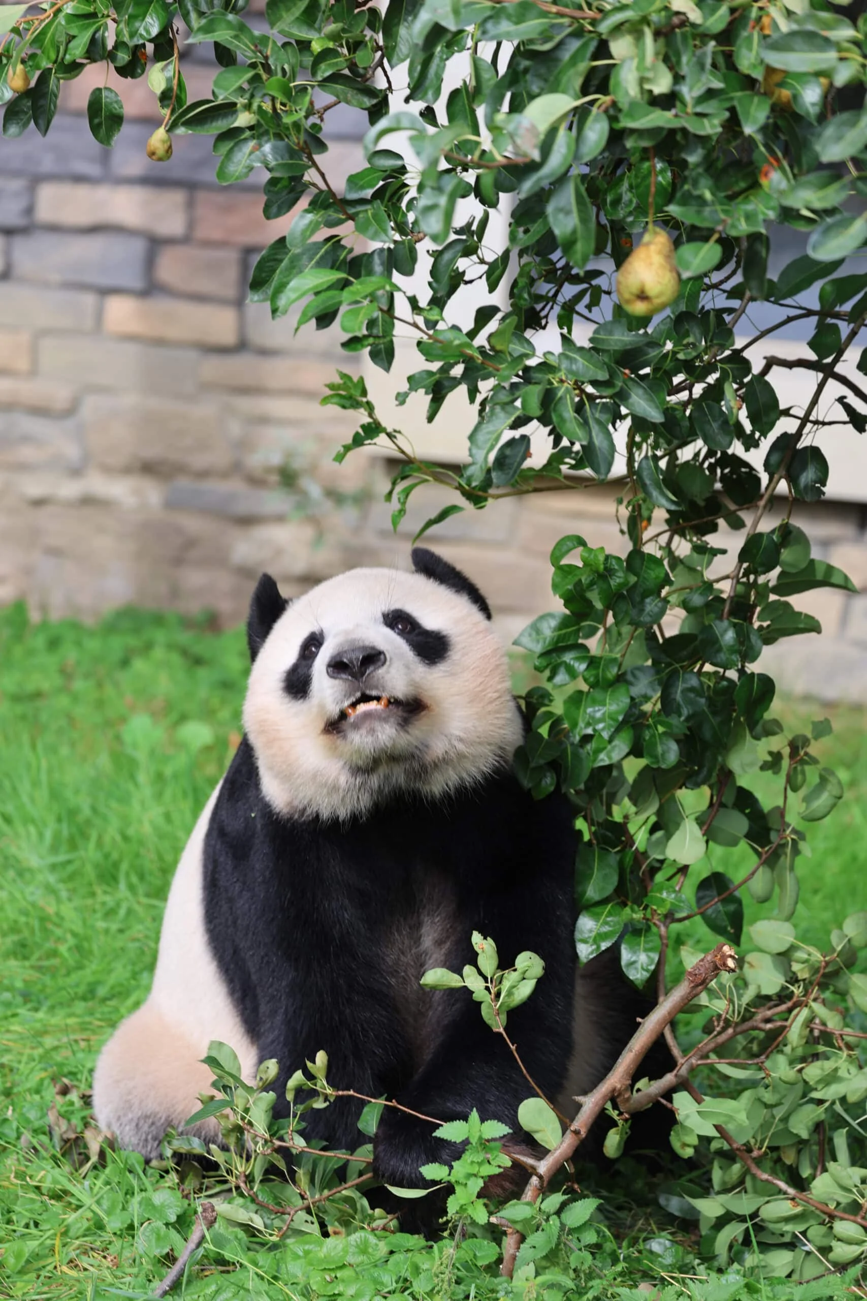 Ouwehands Dierenpark Rhenen