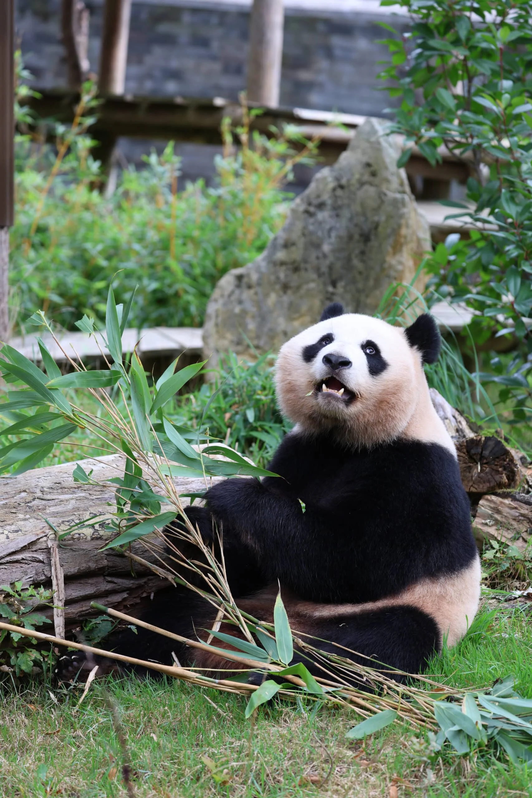 Ouwehands Dierenpark Rhenen