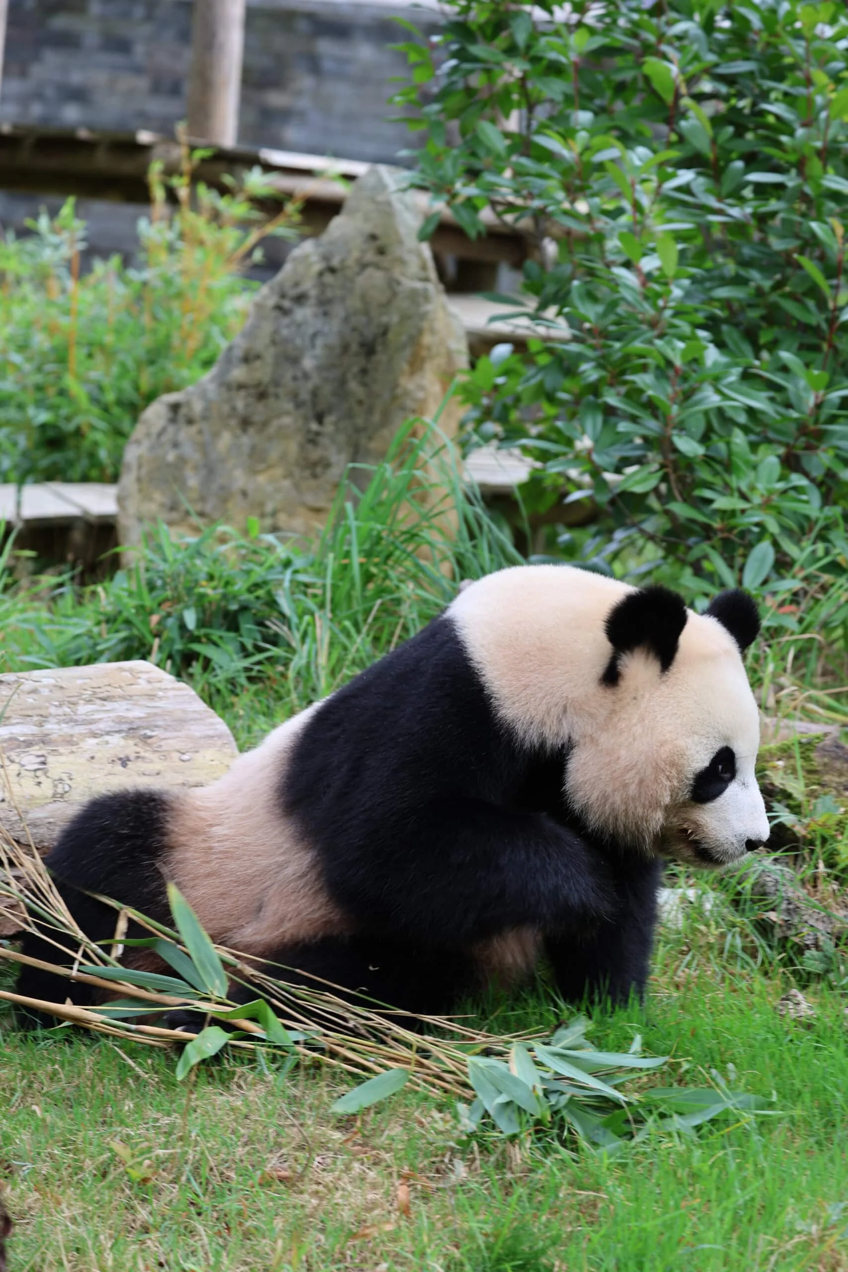 Ouwehands Dierenpark Rhenen