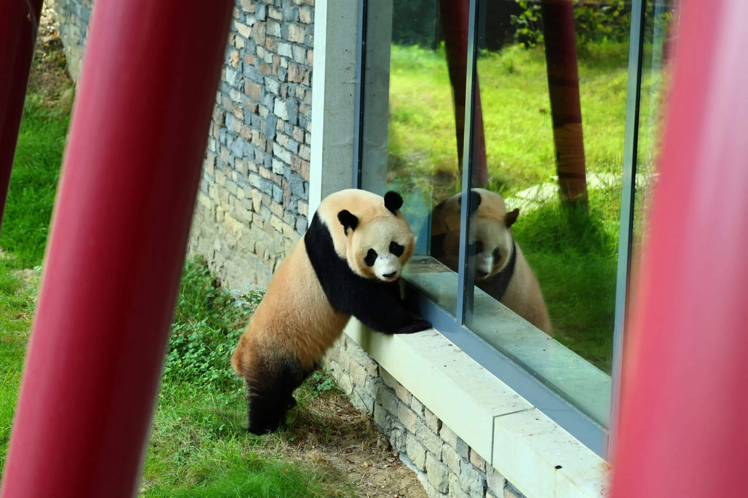 Ouwehands Dierenpark Rhenen
