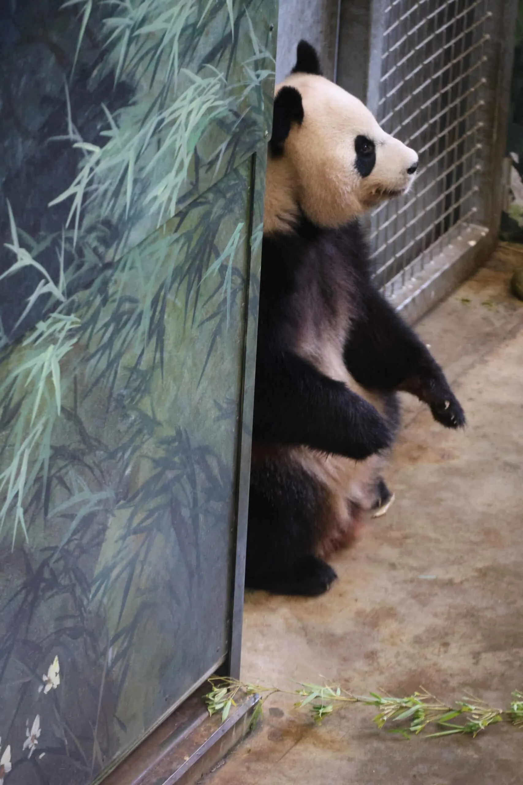 Ouwehands Dierenpark Rhenen