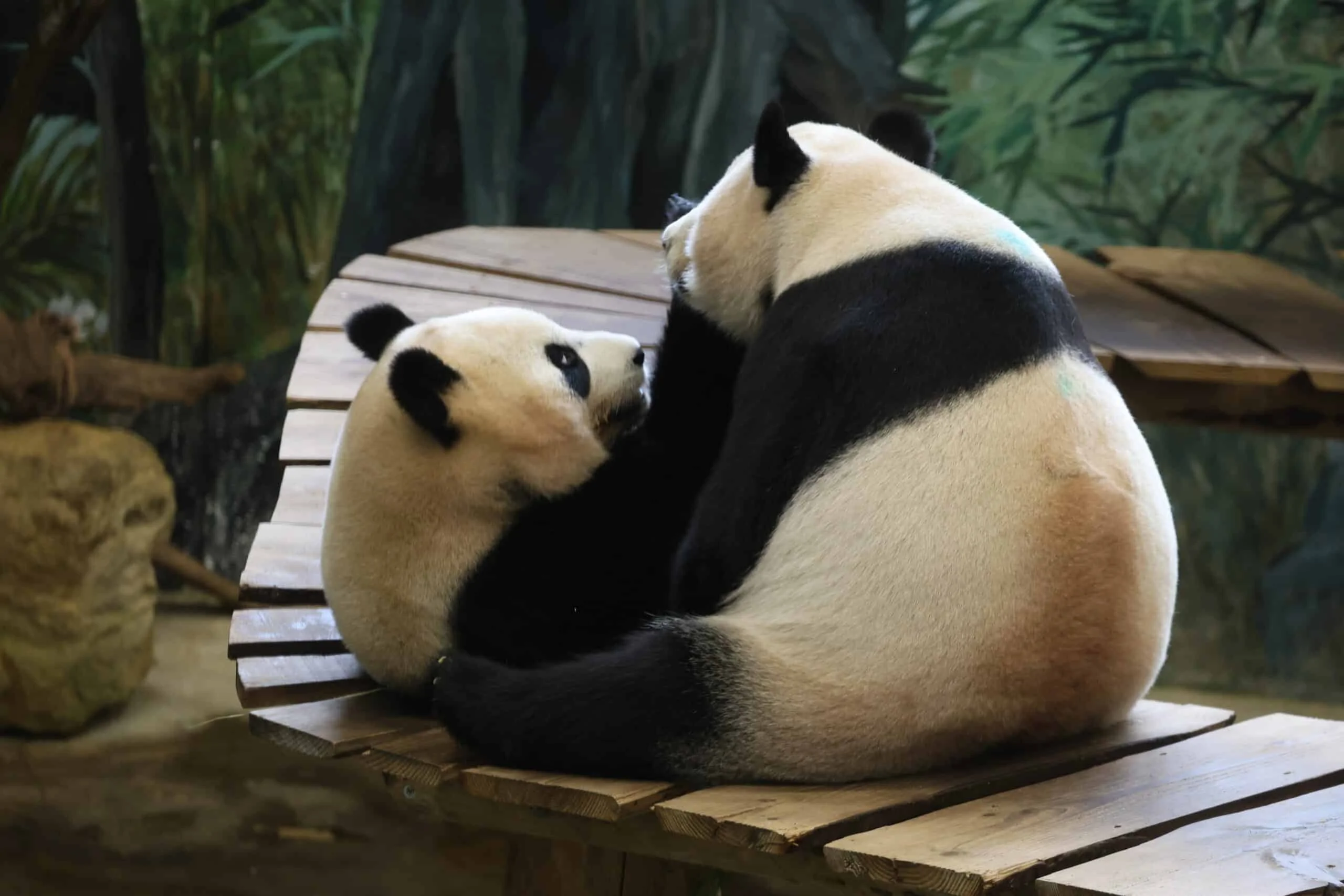 Ouwehands Dierenpark Rhenen