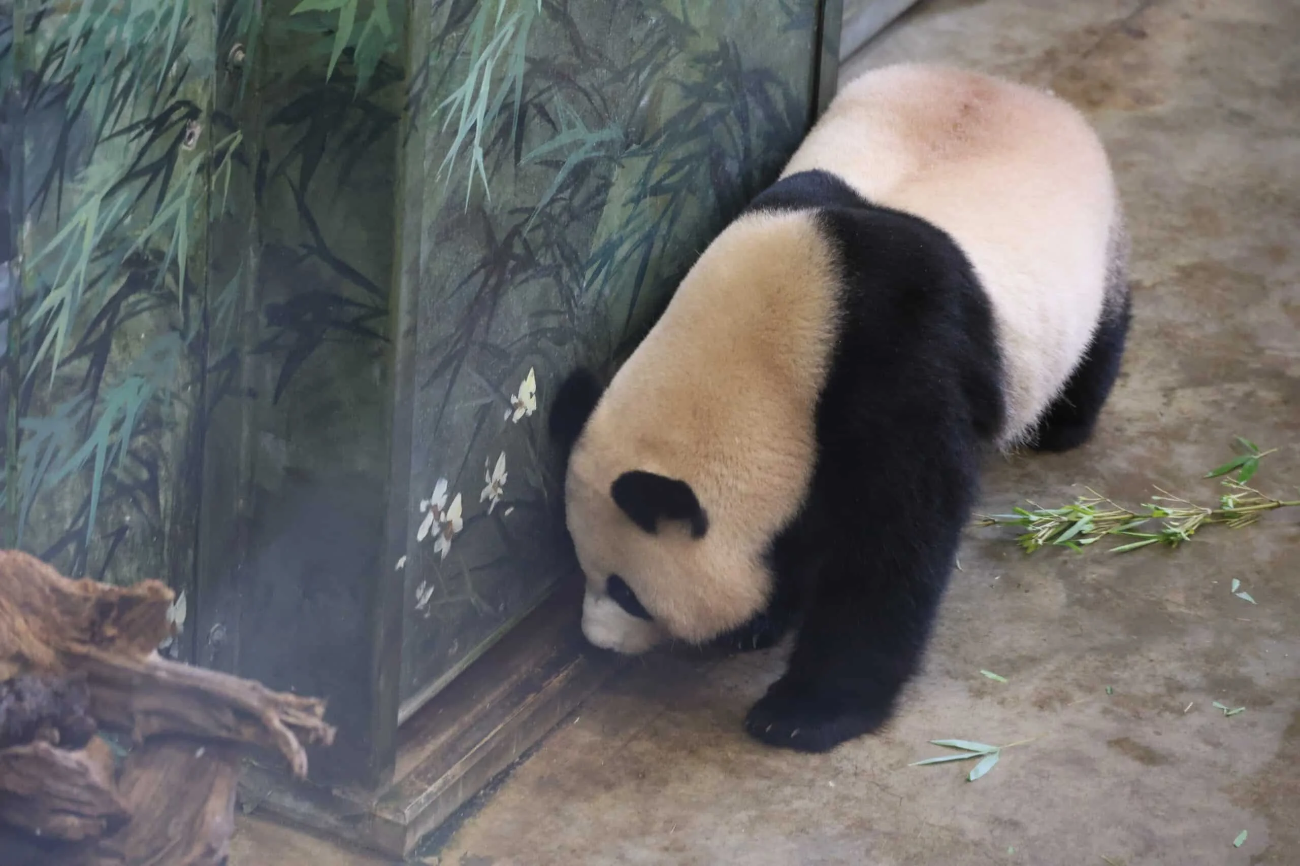 Ouwehands Dierenpark Rhenen