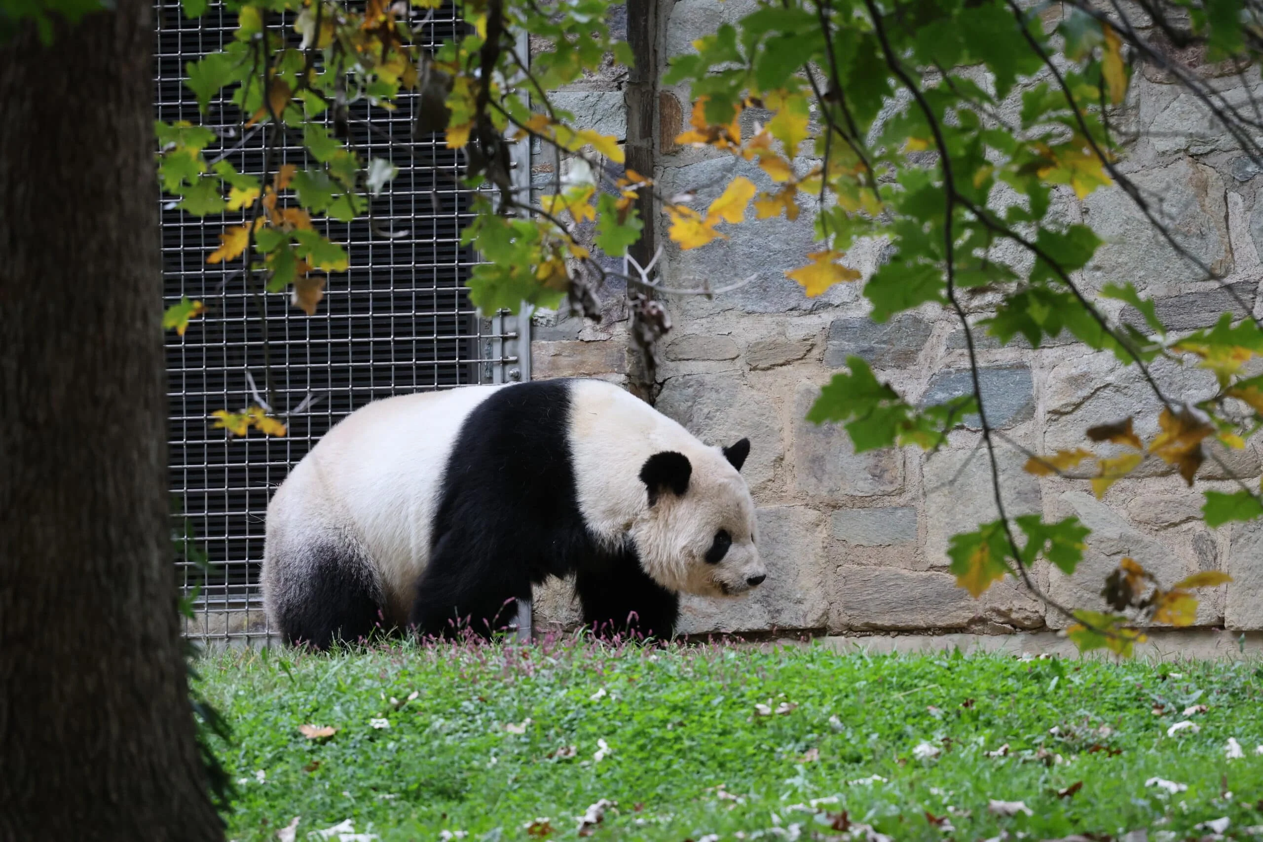 Smithsonian's National Zoo