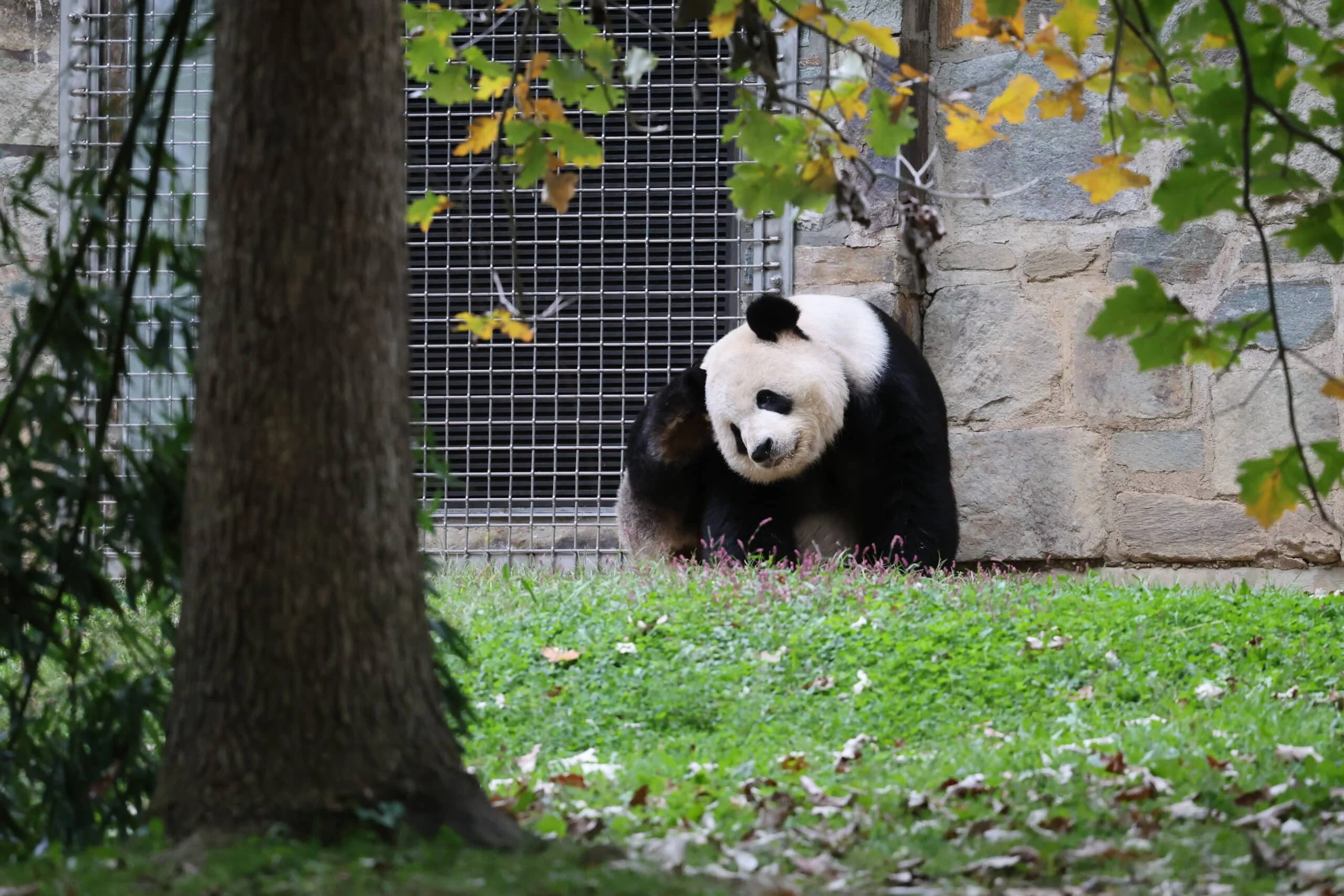 Smithsonian's National Zoo