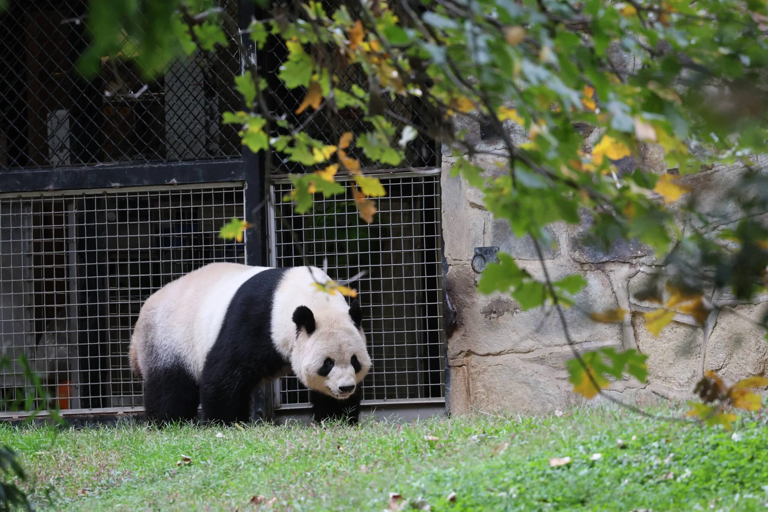 Smithsonian's National Zoo
