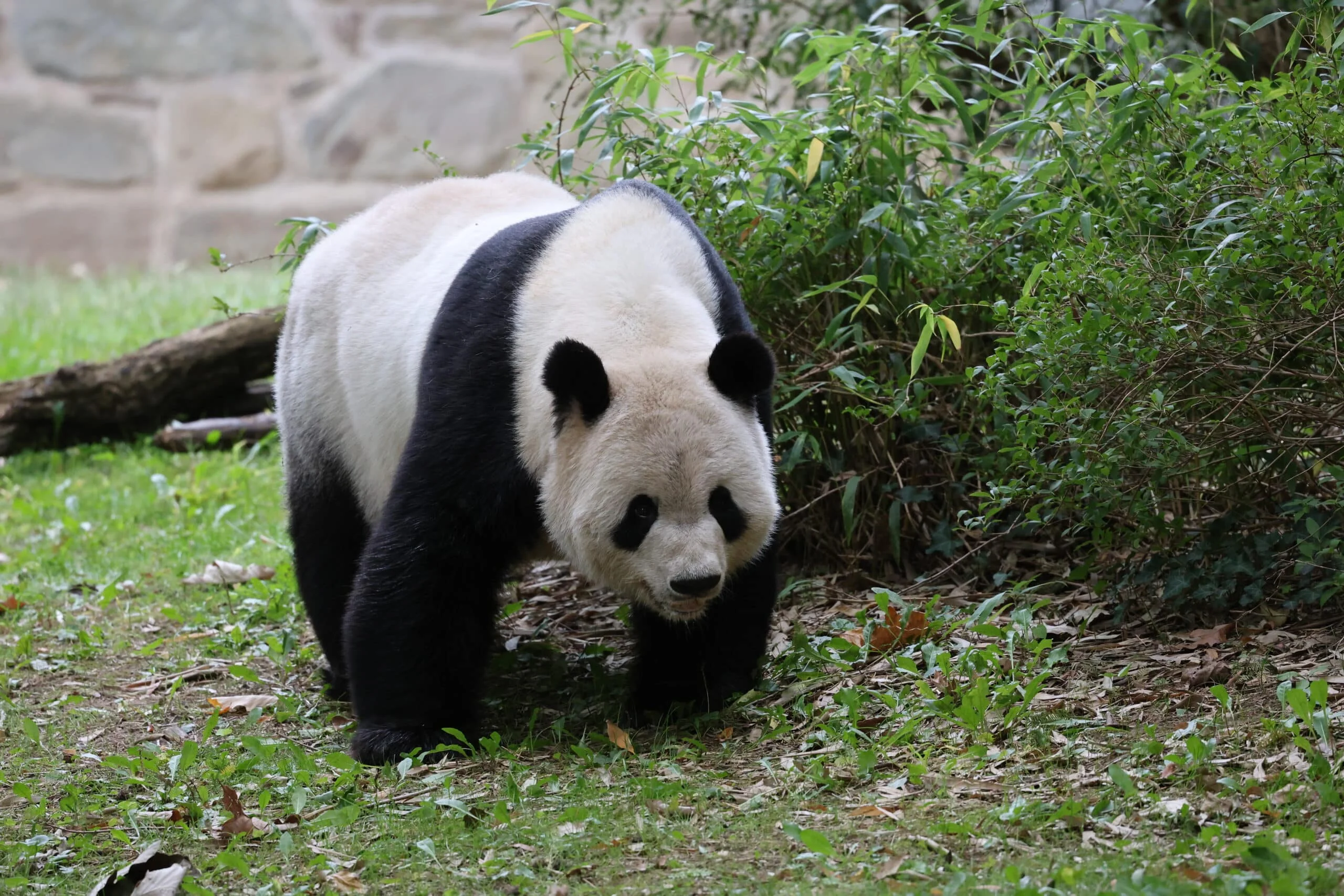 Smithsonian's National Zoo