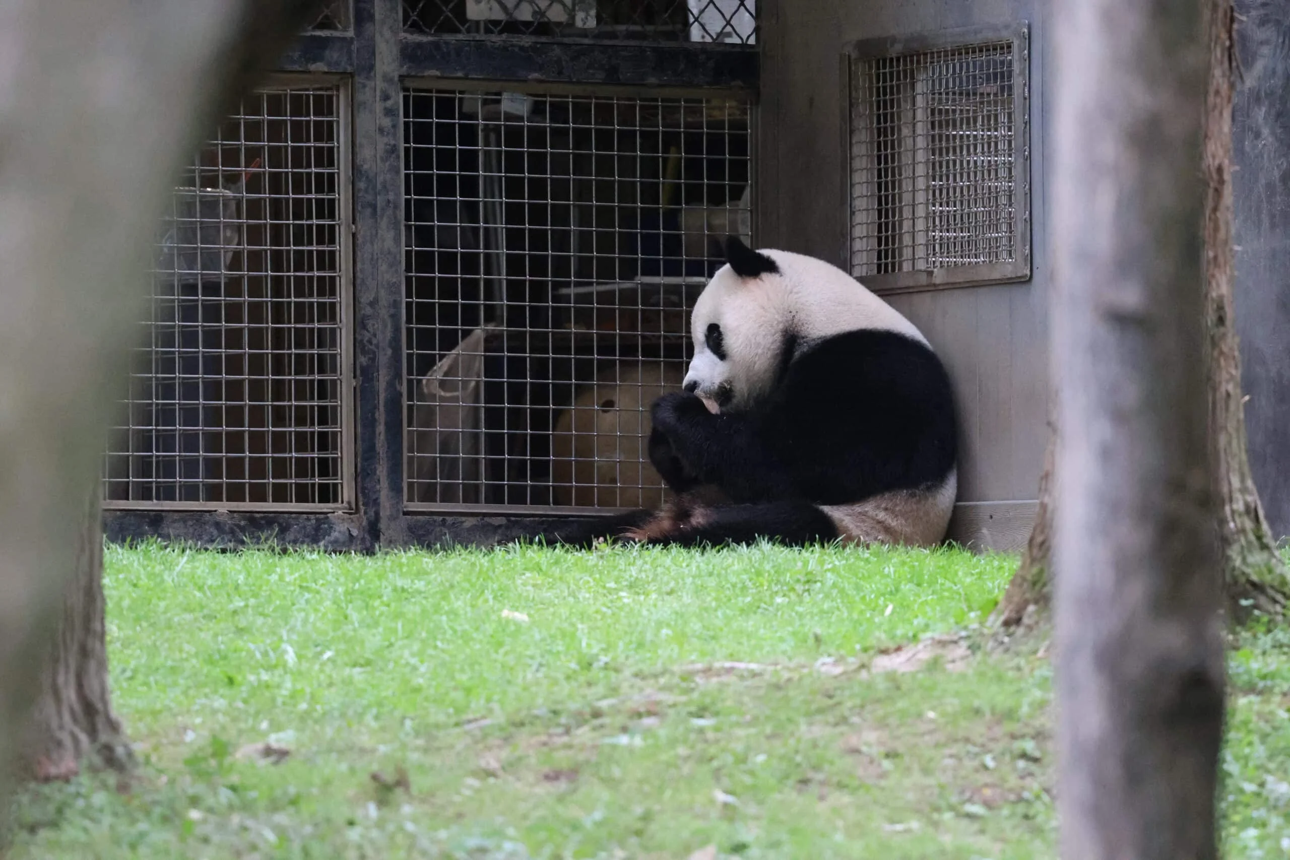 Smithsonian's National Zoo