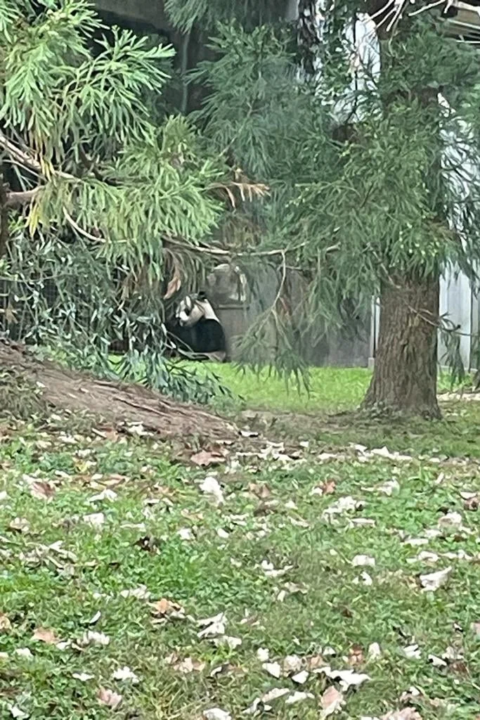 Smithsonian's National Zoo