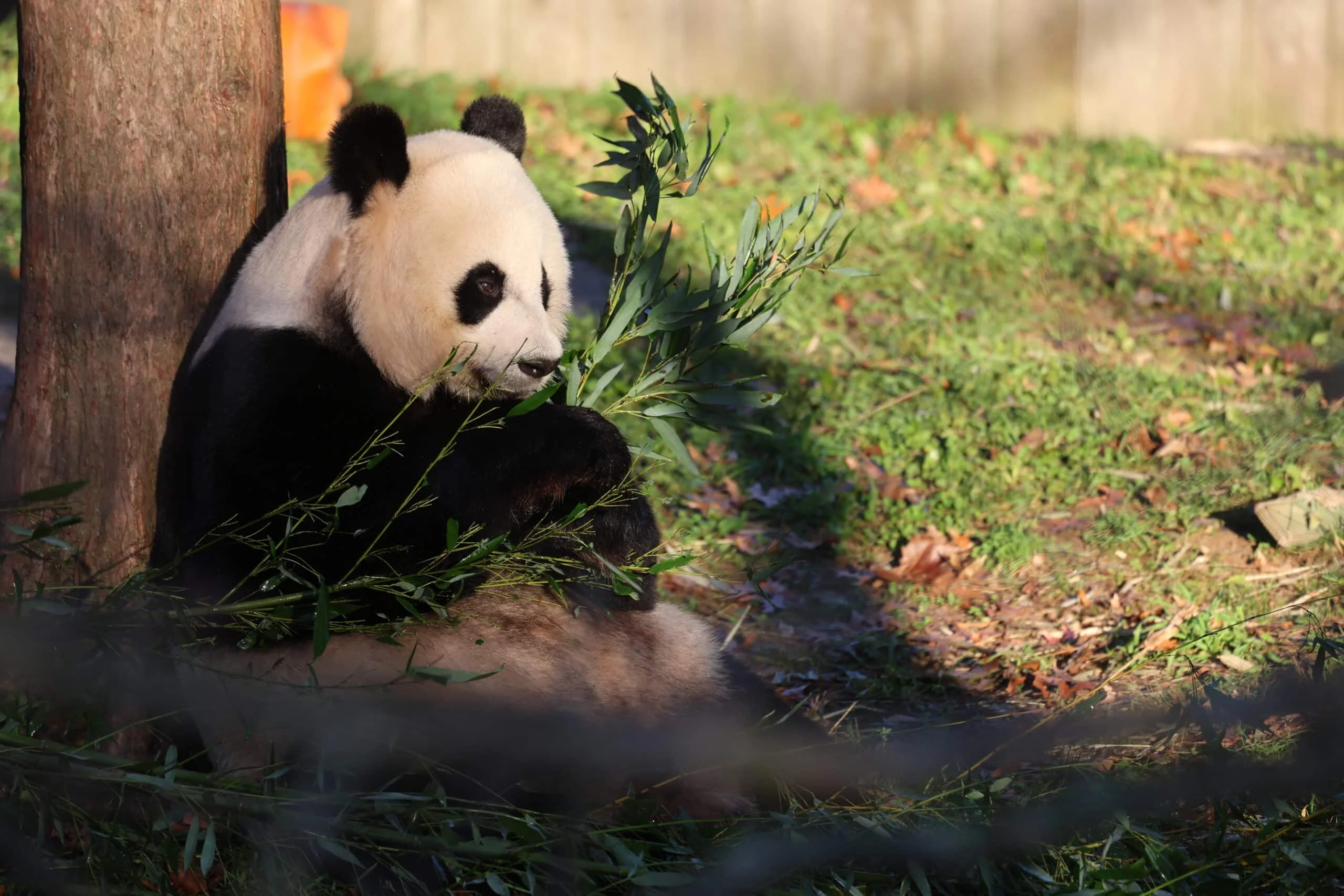Smithsonian's National Zoo