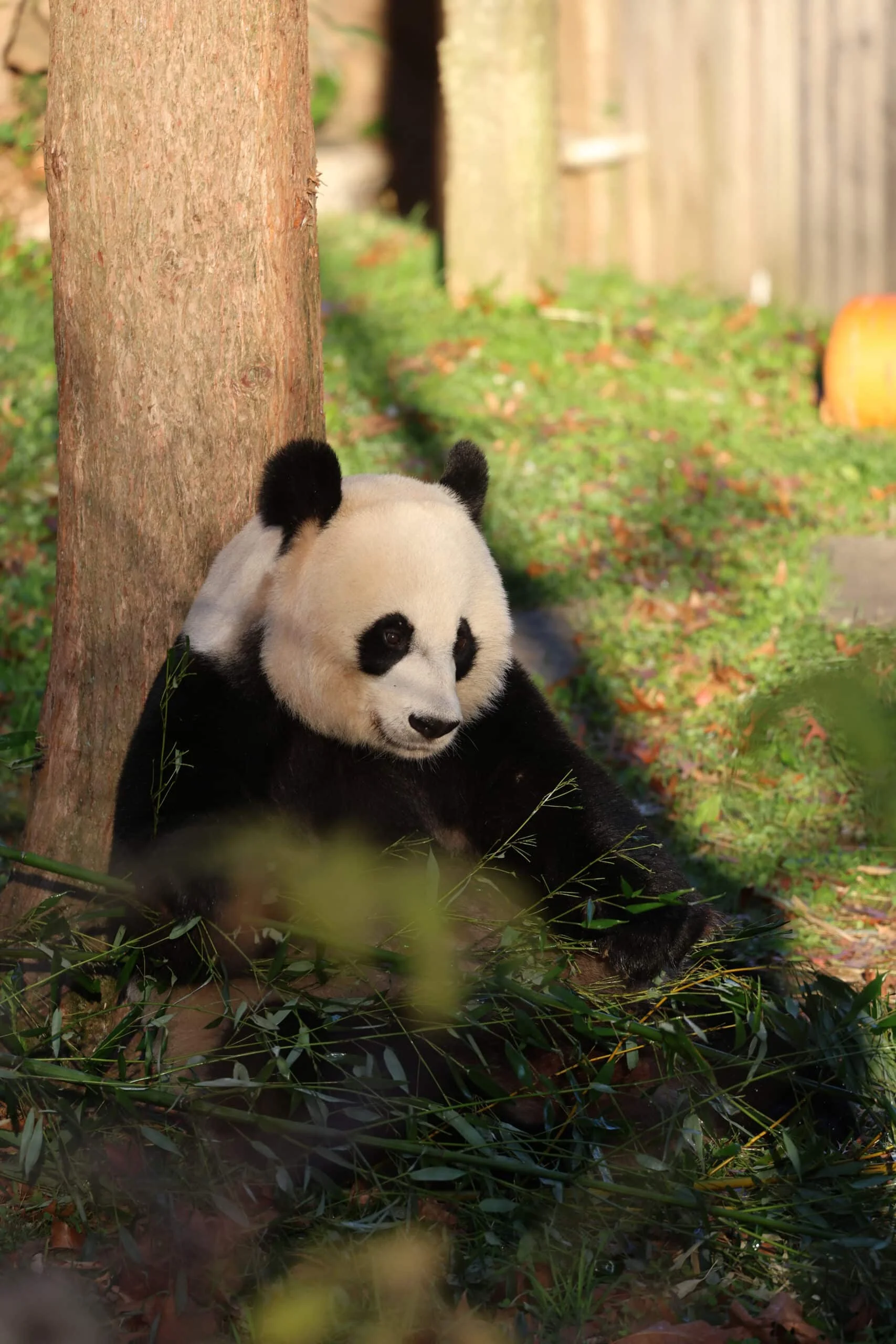 Smithsonian's National Zoo