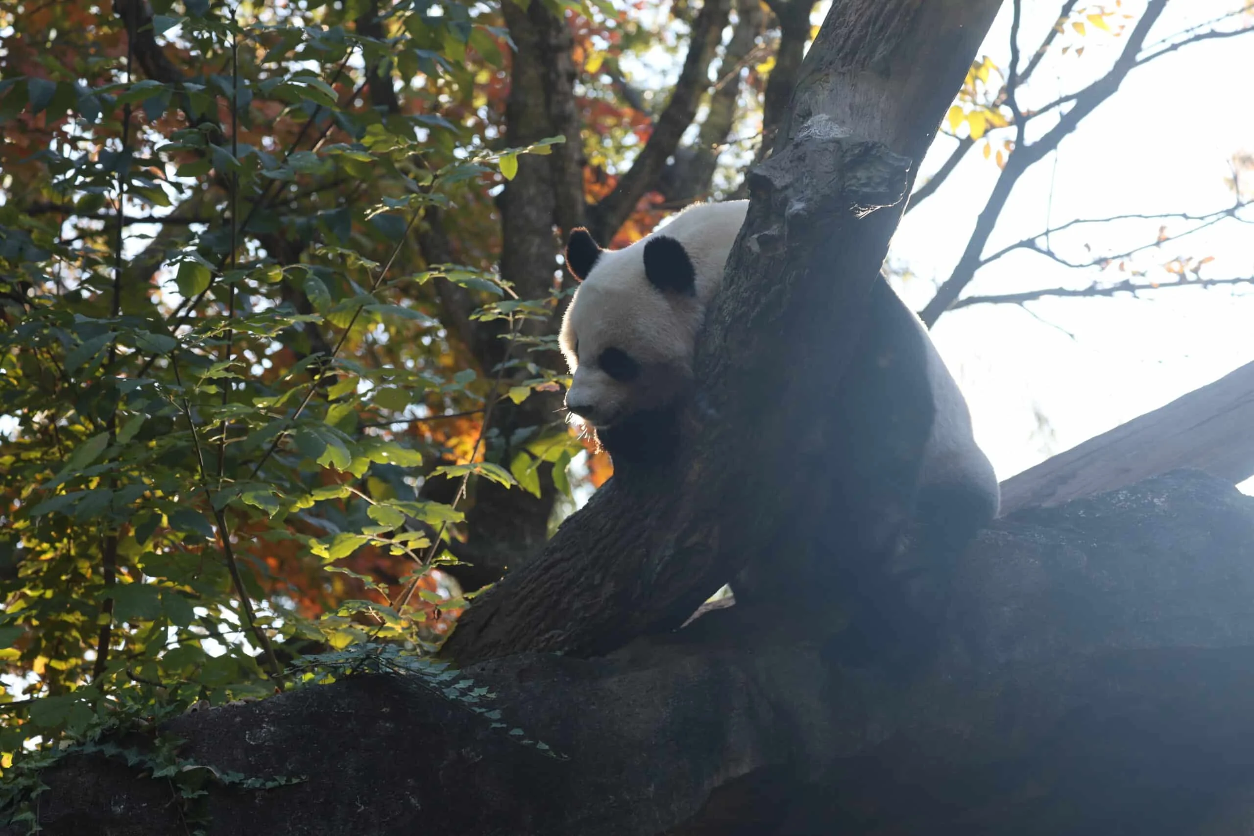 Smithsonian's National Zoo