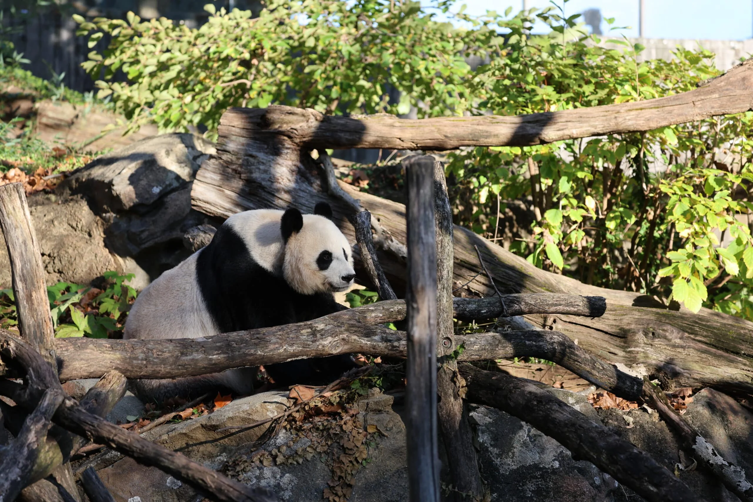 Smithsonian's National Zoo