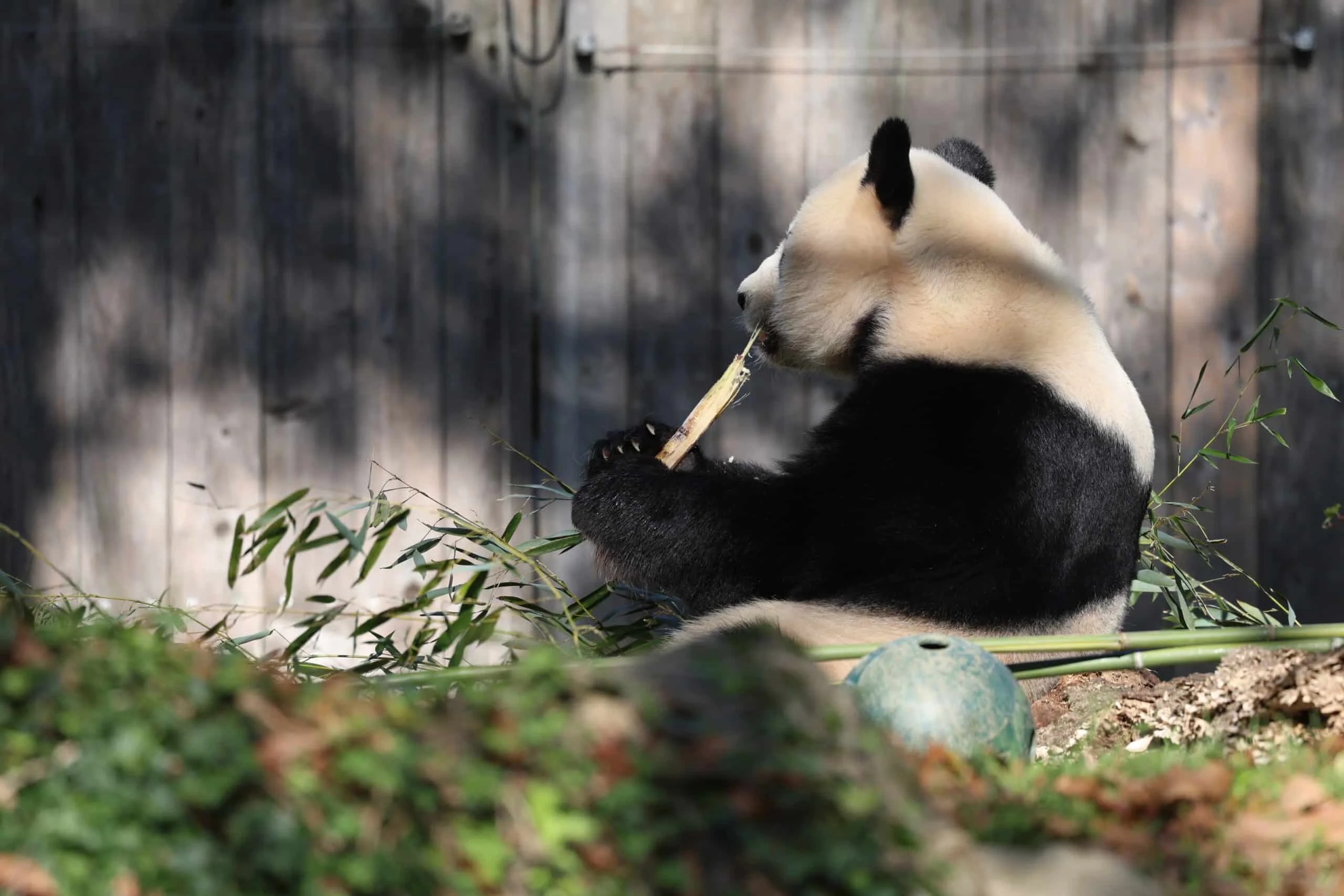 Smithsonian's National Zoo