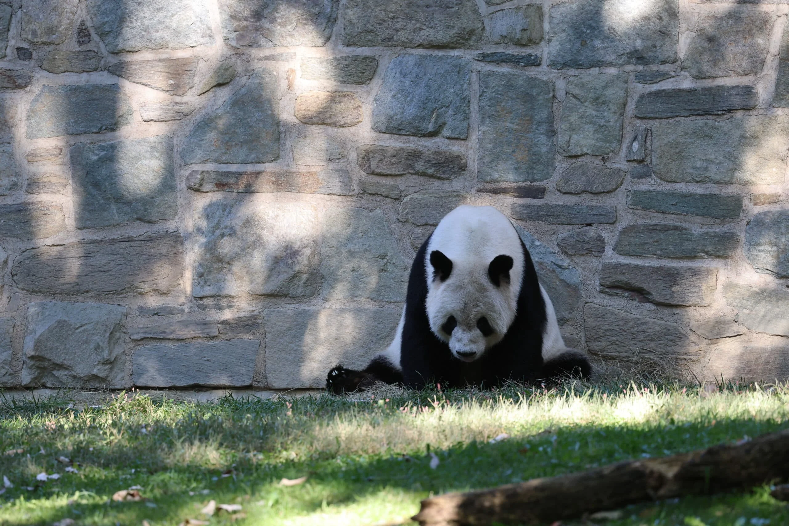 Smithsonian's National Zoo