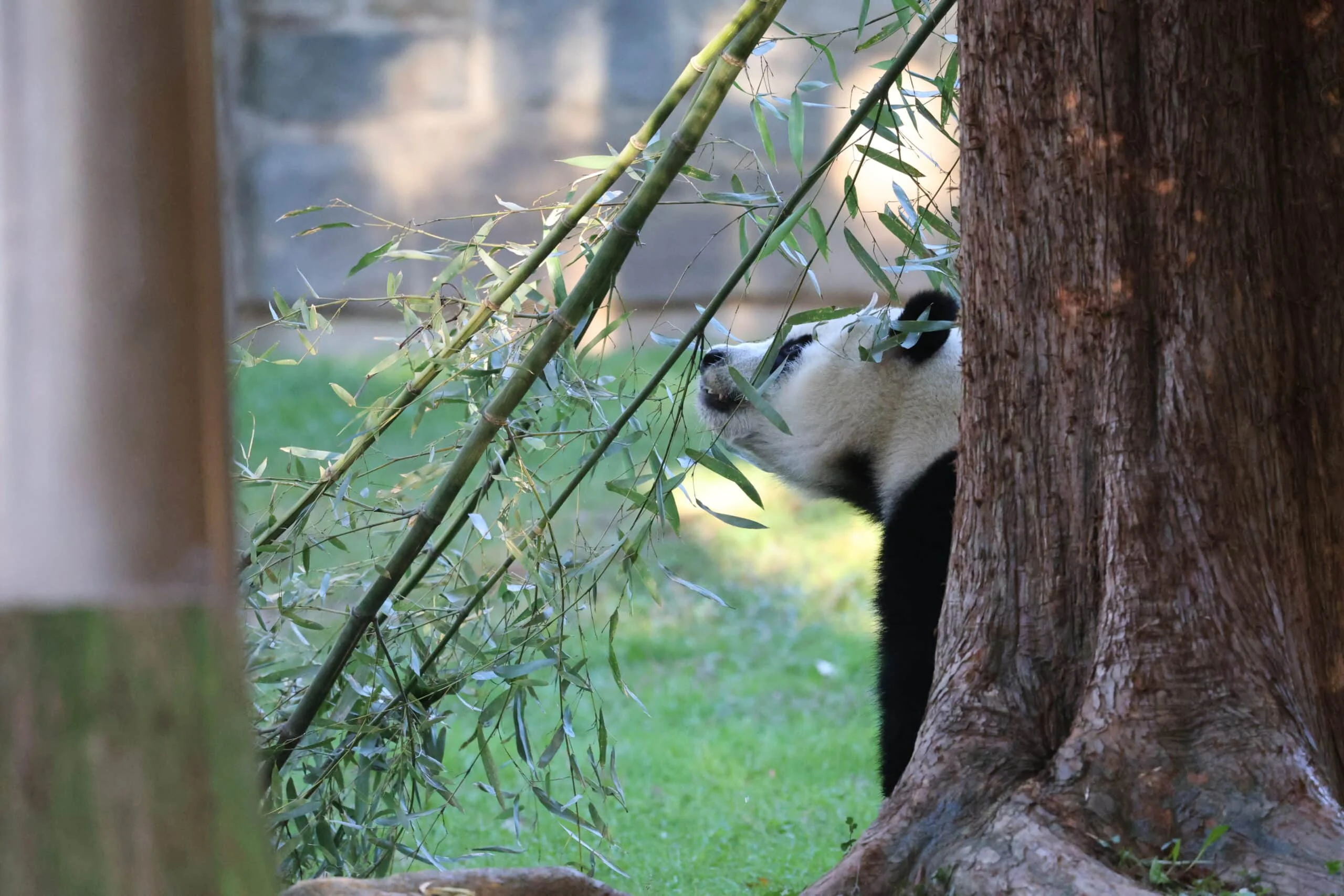Smithsonian's National Zoo