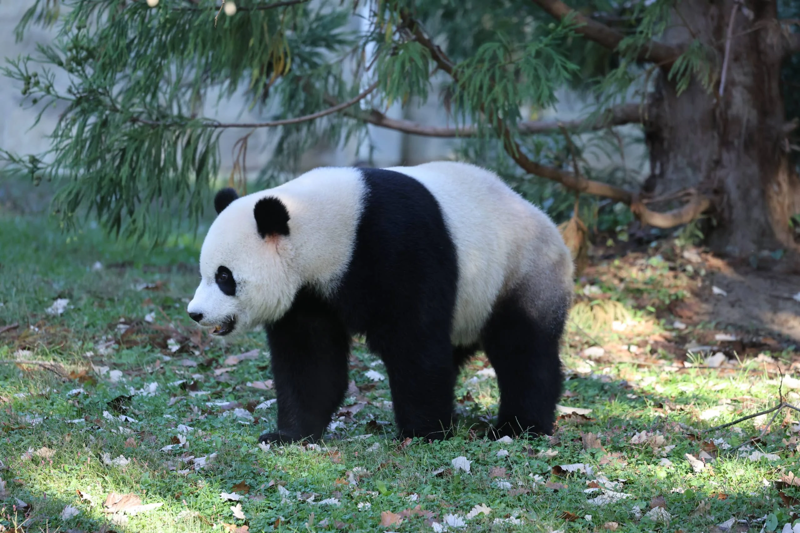 Smithsonian's National Zoo