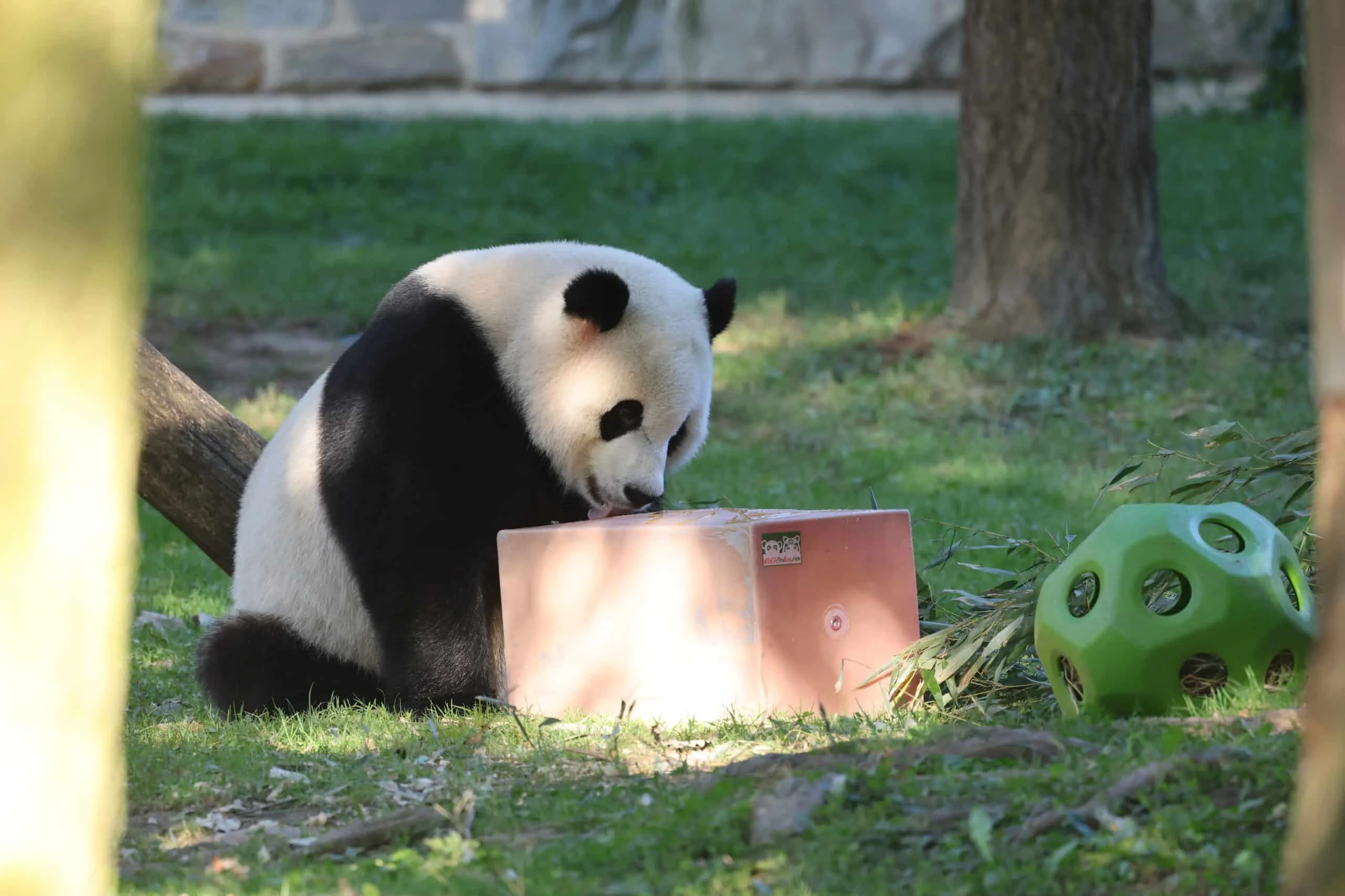 Smithsonian's National Zoo