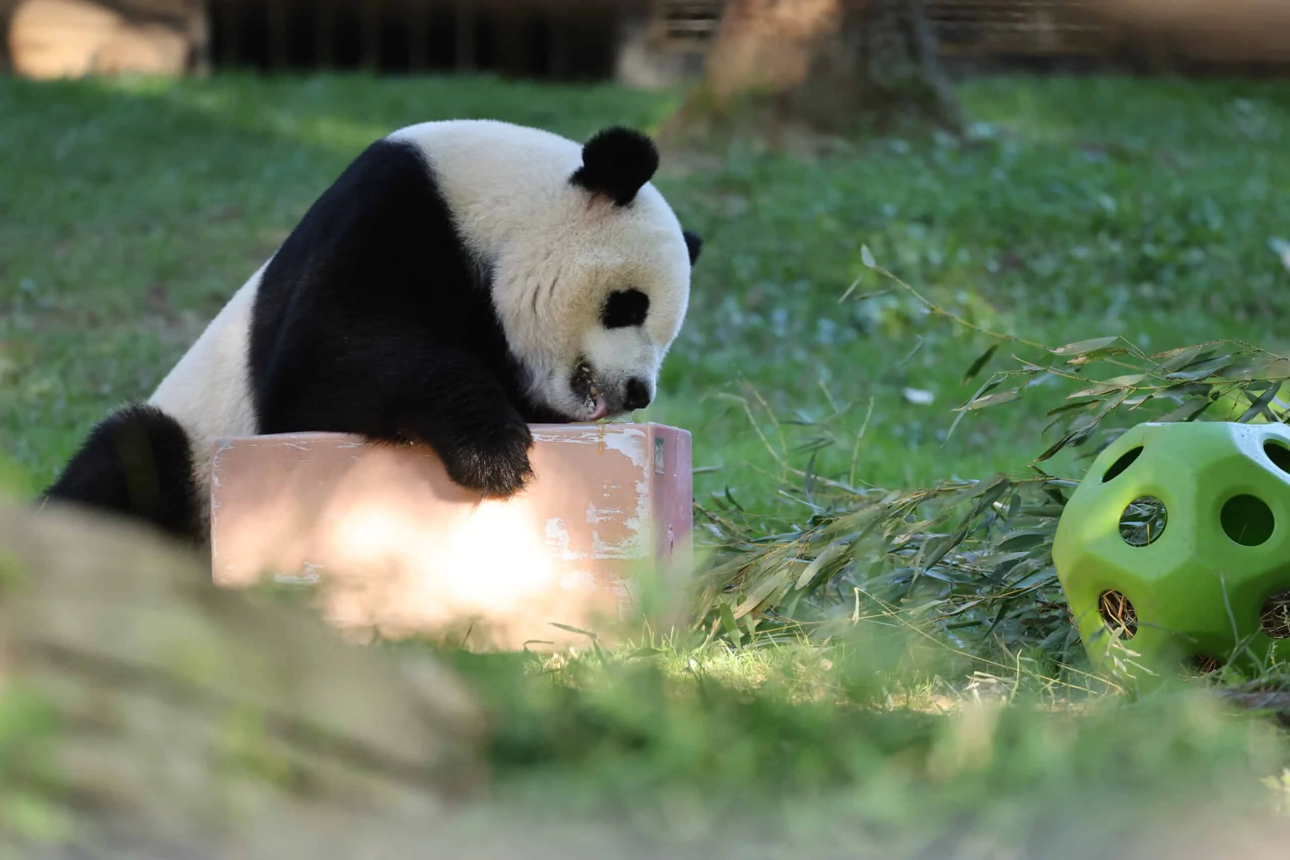 Smithsonian's National Zoo