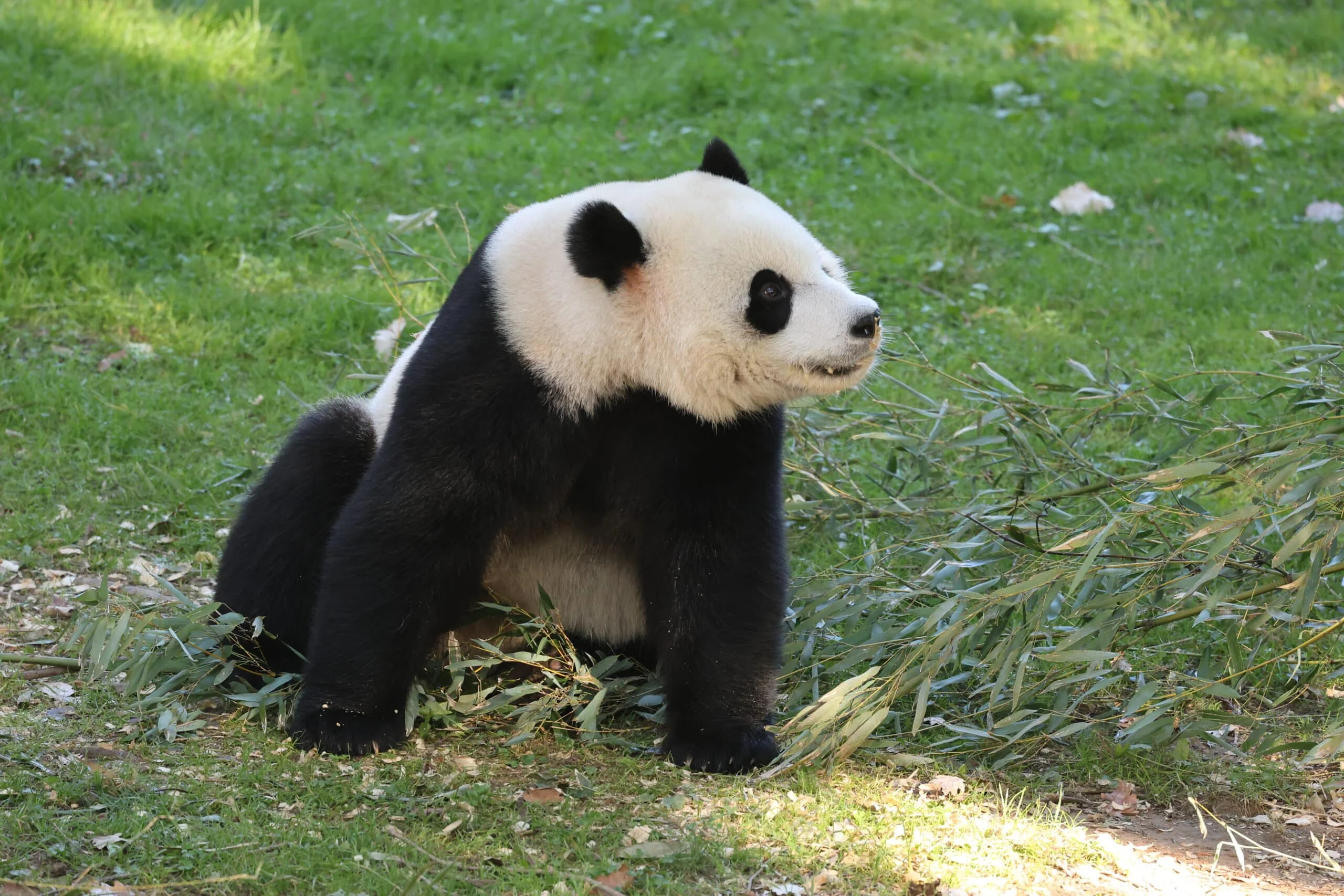 Smithsonian's National Zoo