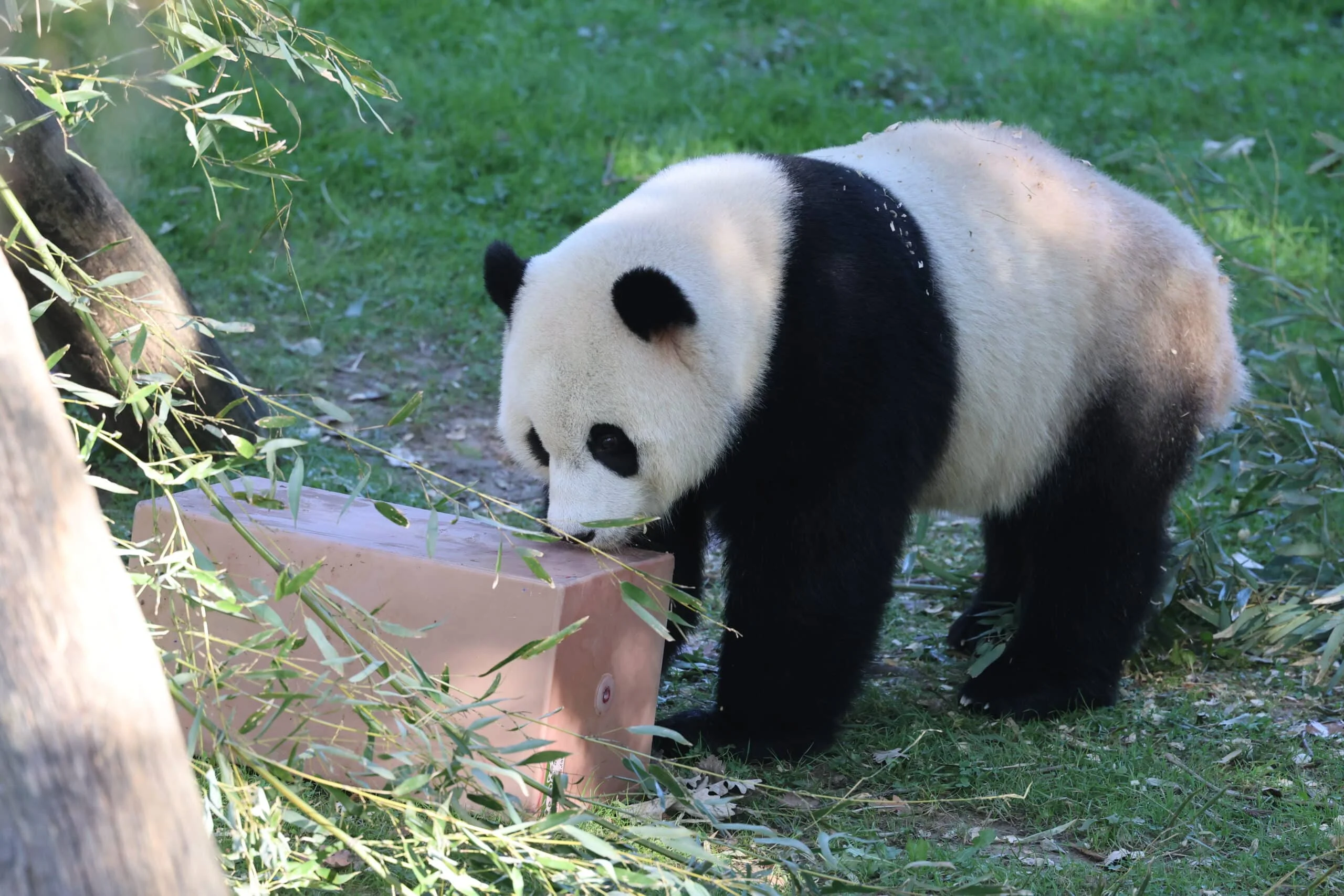 Smithsonian's National Zoo