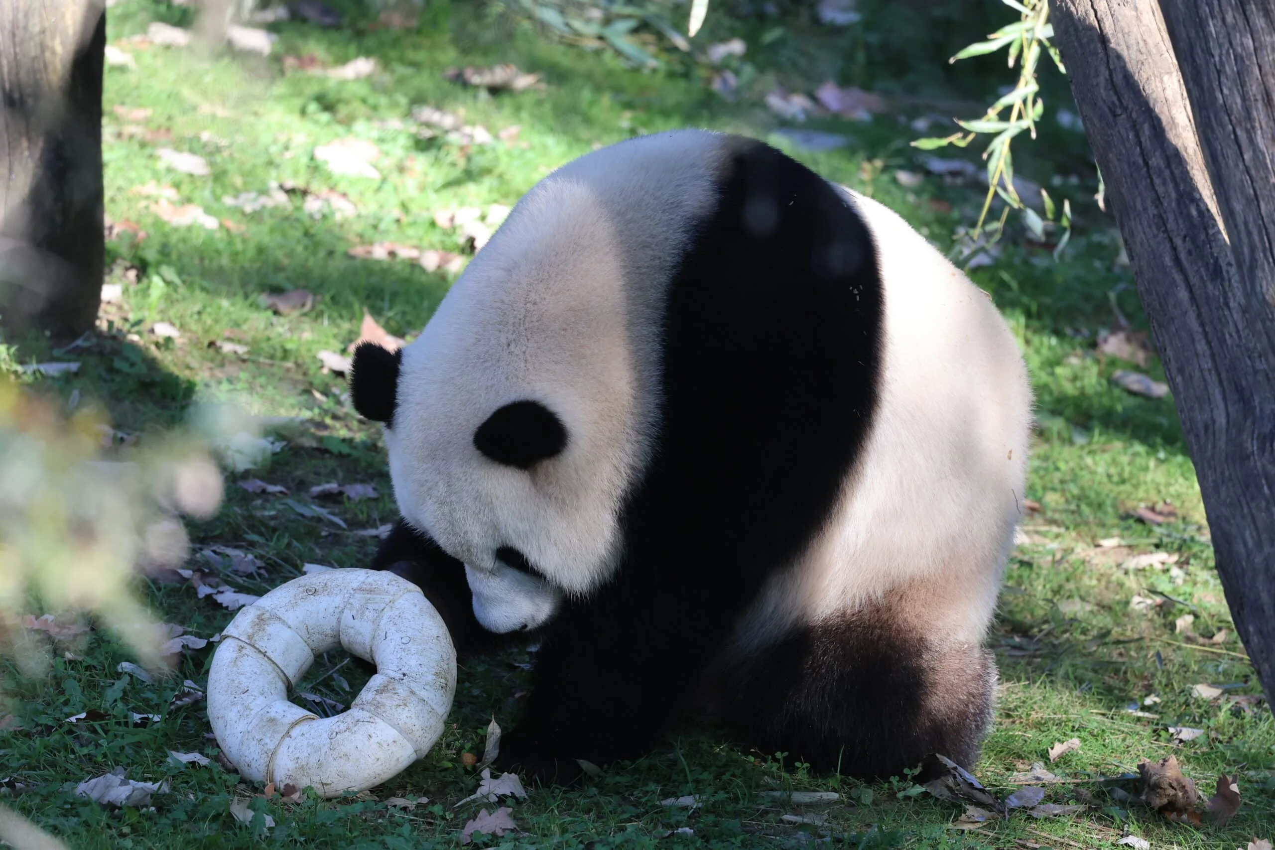 Smithsonian's National Zoo
