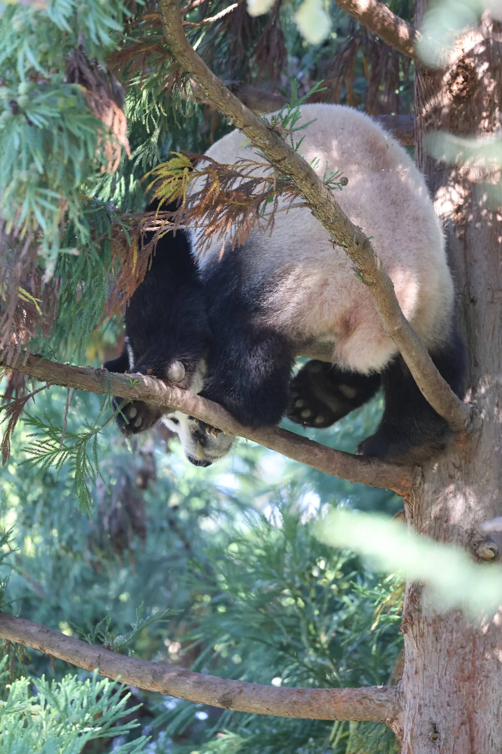 Smithsonian's National Zoo