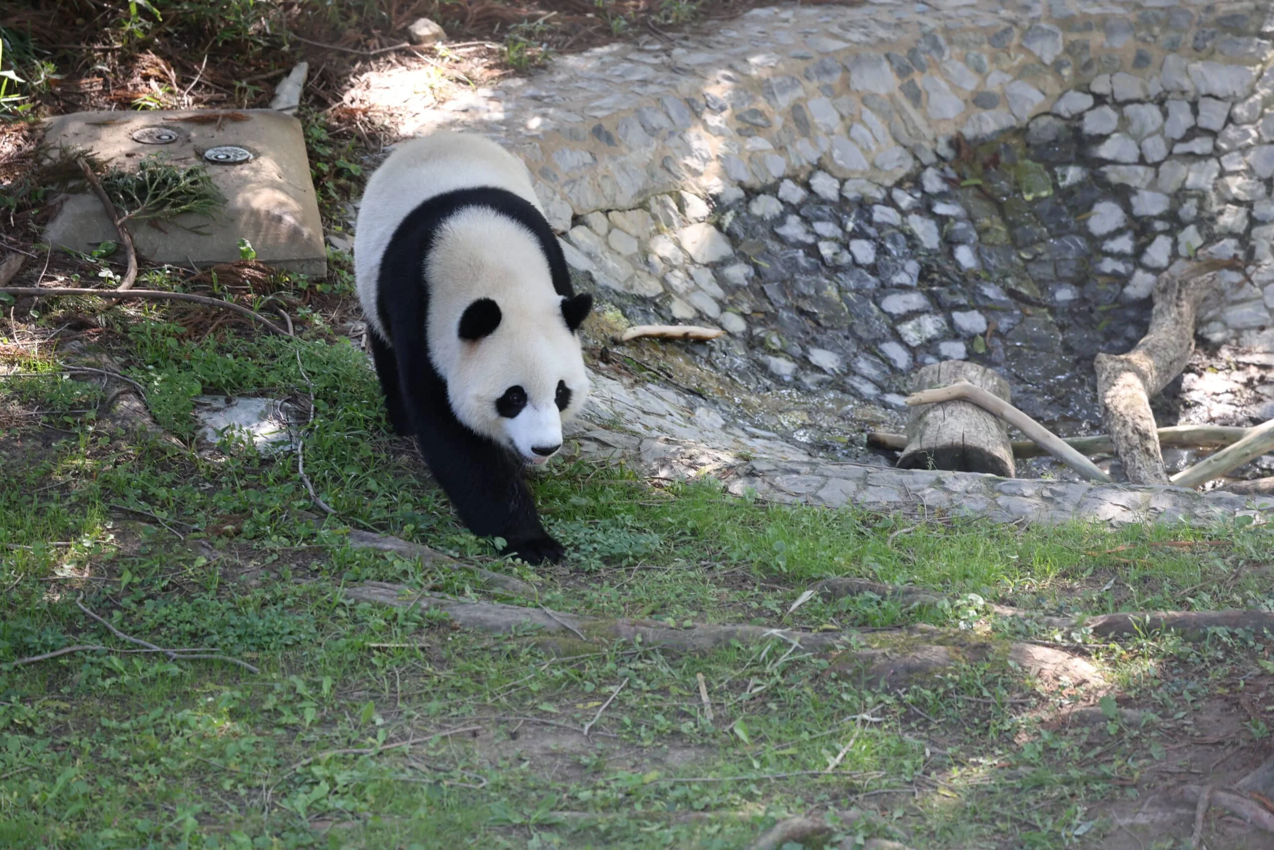 Smithsonian's National Zoo