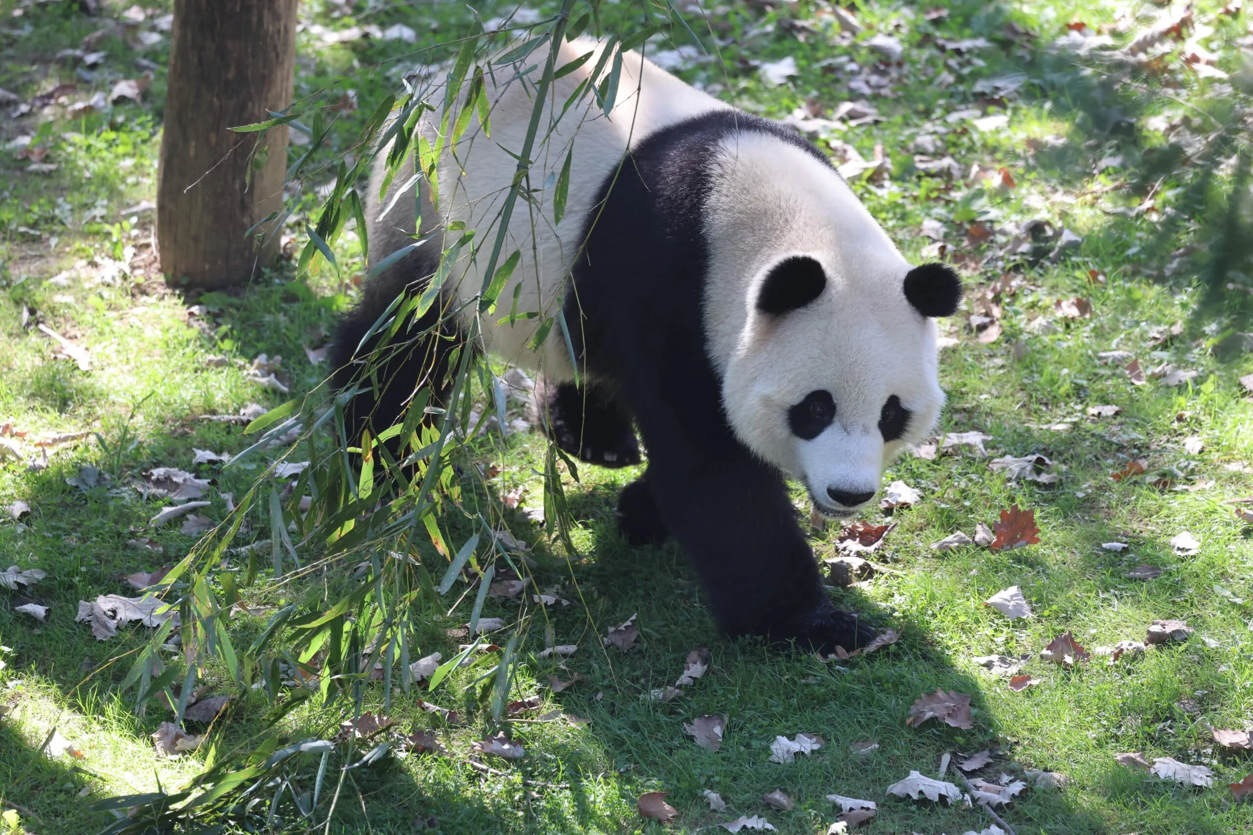 Smithsonian's National Zoo